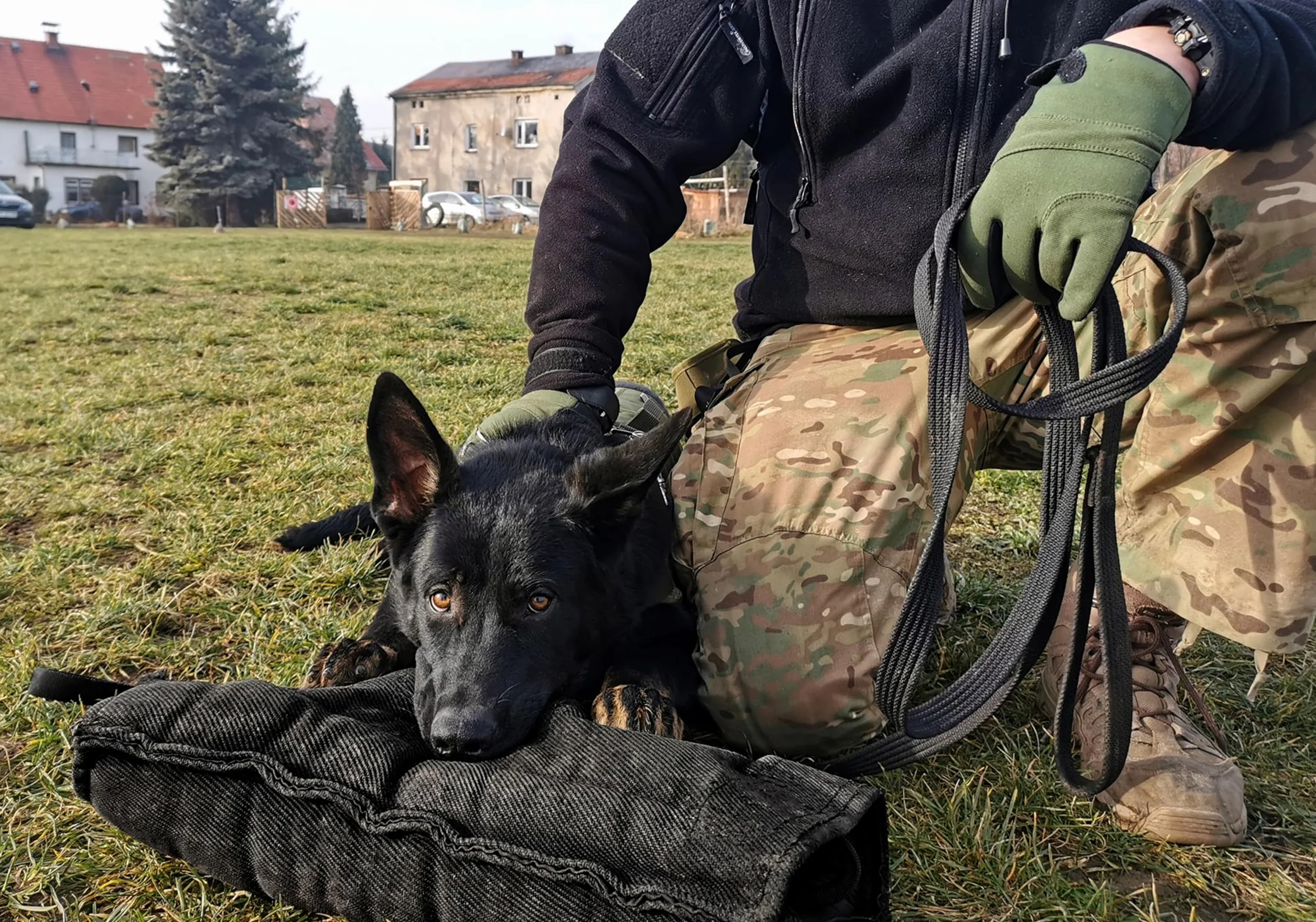 Manchette de Morsure en Nylcot Midi Souple avec Poignée, Protection pour IGP, Sports Canins, Noir Niveau 3