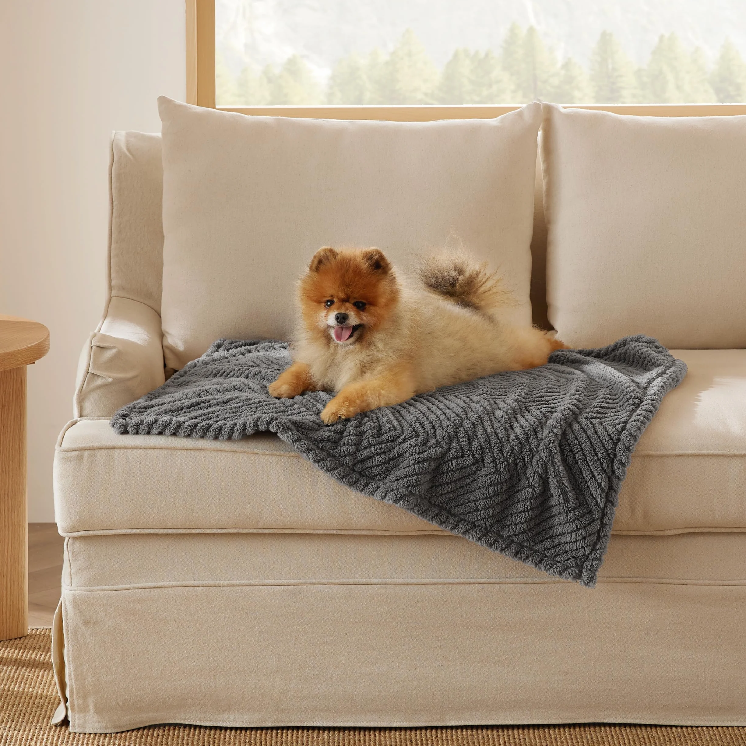 Bedsure Couverture pour Chien et Chat Lavable 80x60 cm Polaire Corail Gris foncé