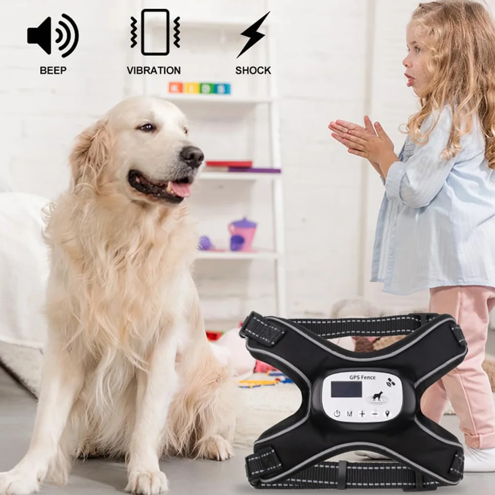 Pilipane GPS Wireless Dog Fence avec 3 Modes de Formation Système de Clôture Rechargeable pour Animaux de Compagnie