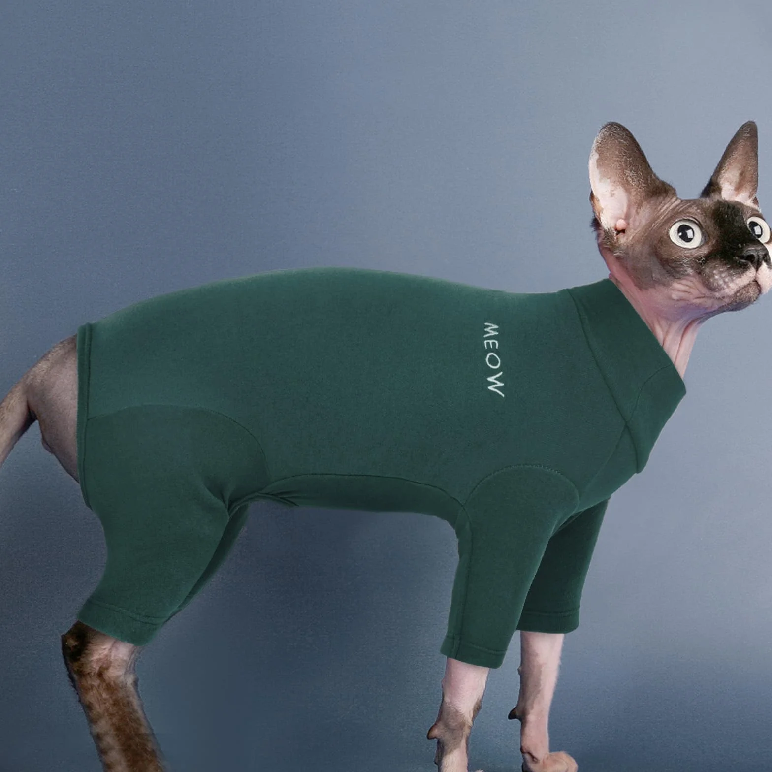 PUMYPOREITY Pull pour Chats Manteau Doux Chaud Sweat-Shirt d'hiver Vêtements Chandail Pyjama Chat Sweat Sphynx Vert Foncé XS