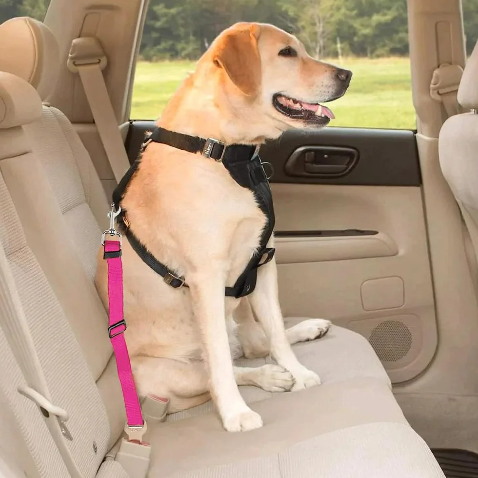 Ceinture de sécurité pour Chiens, Animaux pour Voiture, réglable, Rose