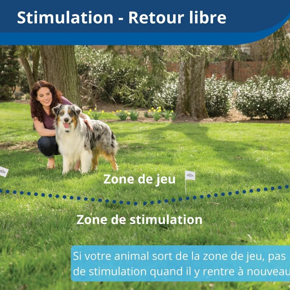 PetSafe Stay & Play Compact Wireless Pet Containment System with Rechargeable Collar, LCD Screen, up to 3000 m²
