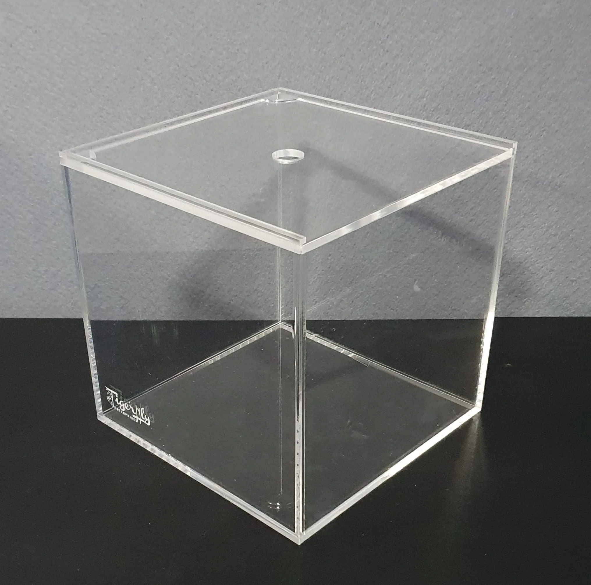 Petit aquarium portable en acrylique avec couvercle coulissant et trou d'alimentation pour terrarium, tortues et insectes 8 l (20 x 20 x 20 cm)