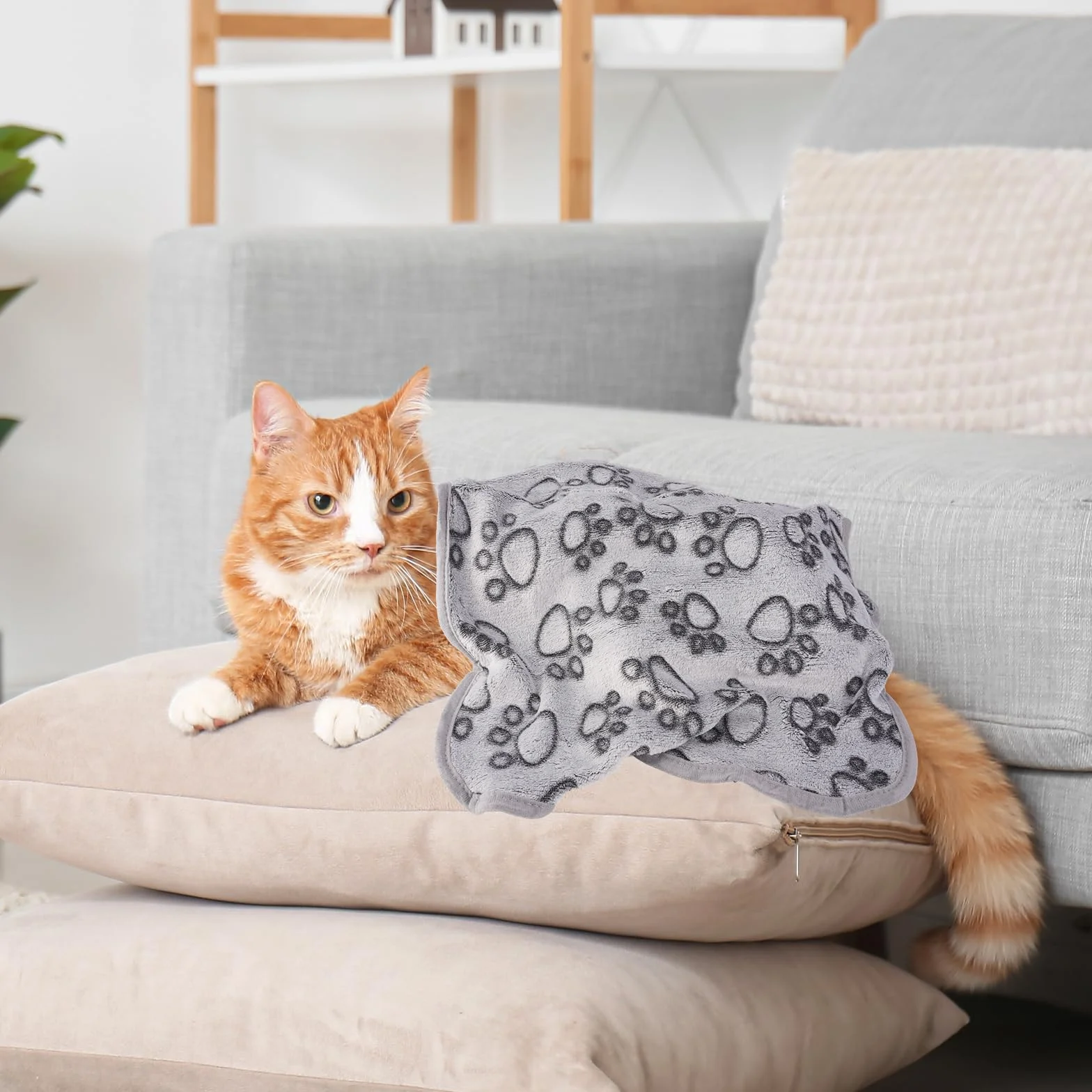Plaid pour Chat en Flanelle 60×40cm Couverture Douce Lavable pour Chien et Chat
