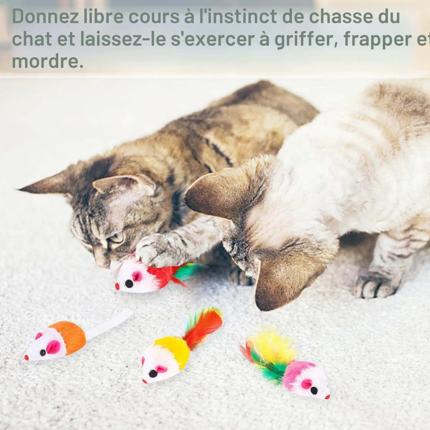 Chat Souris Jouet Chat Interieur avec Hochet Sons 10 Pièces