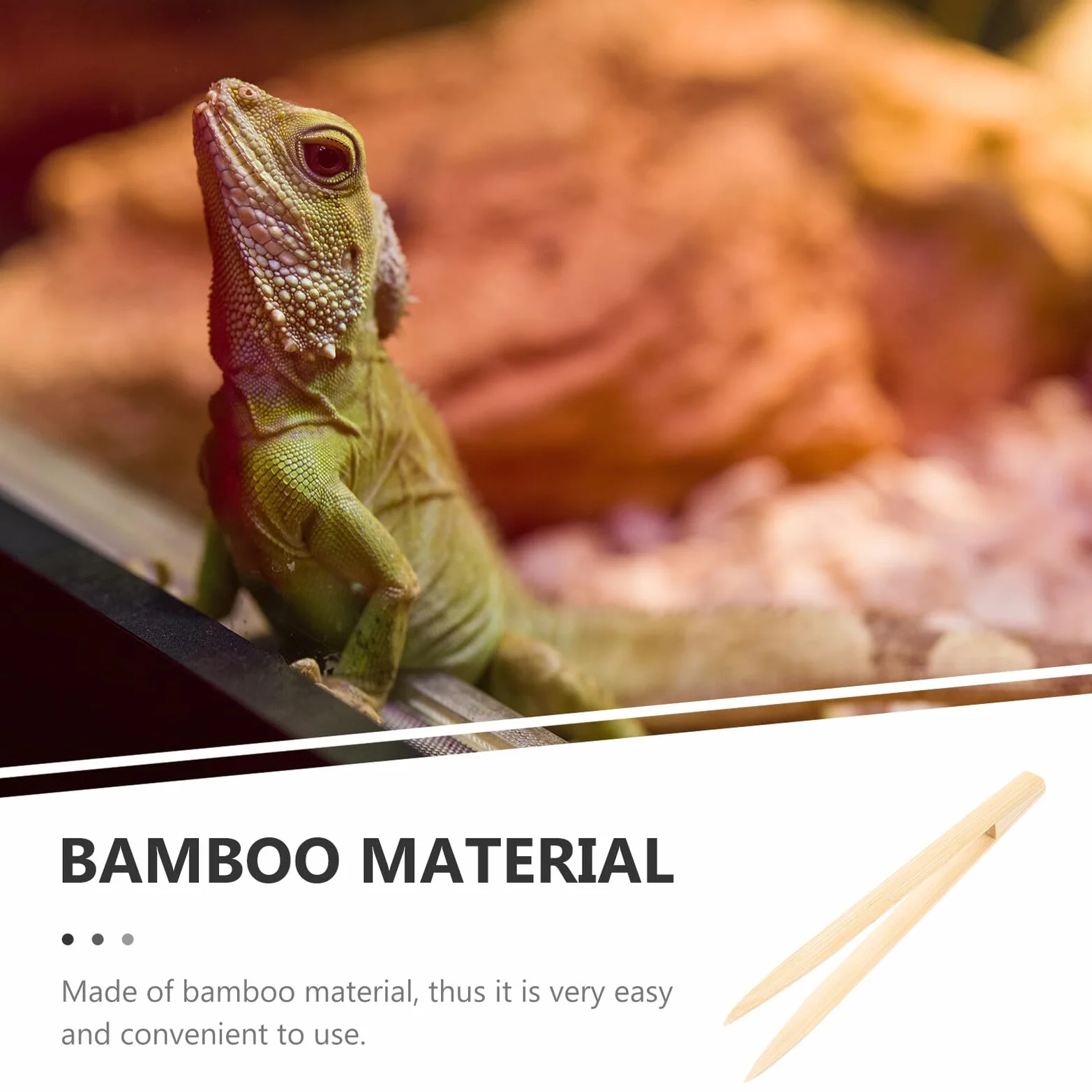 Pince Bambou pour Nourrir Reptiles - Outil Alimentation Sécurisée pour Lézards Serpents Tortues