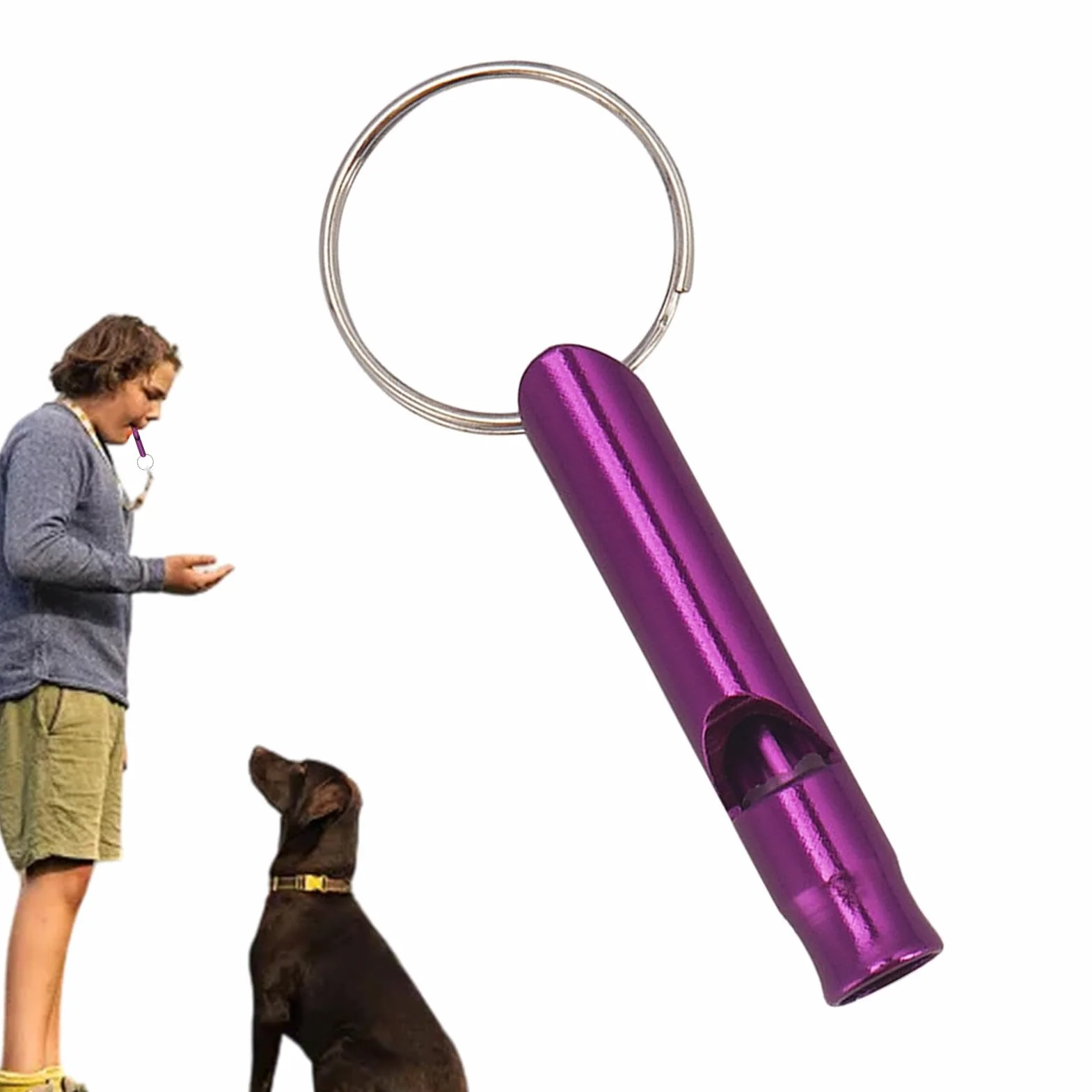 Sifflet de dressage pour chien fréquences réglables ensemble dressage chiot chat