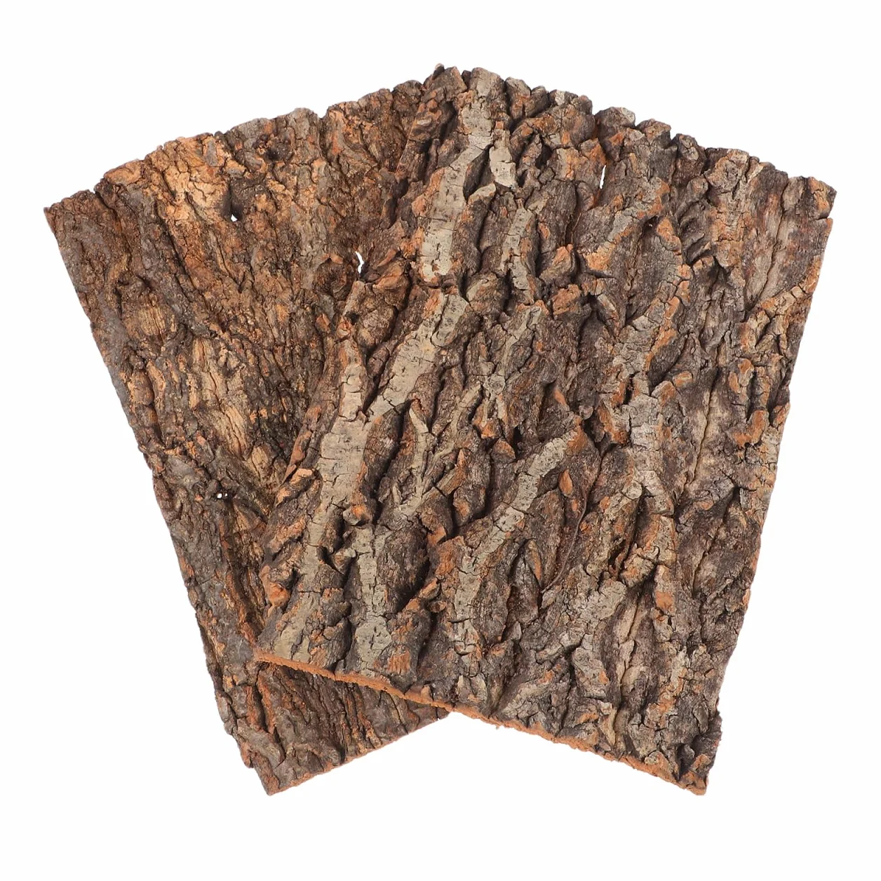 Garneck Parois arrière en écorce de liège pour terrarium 30 x 20 cm – Surface d'escalade pour reptiles