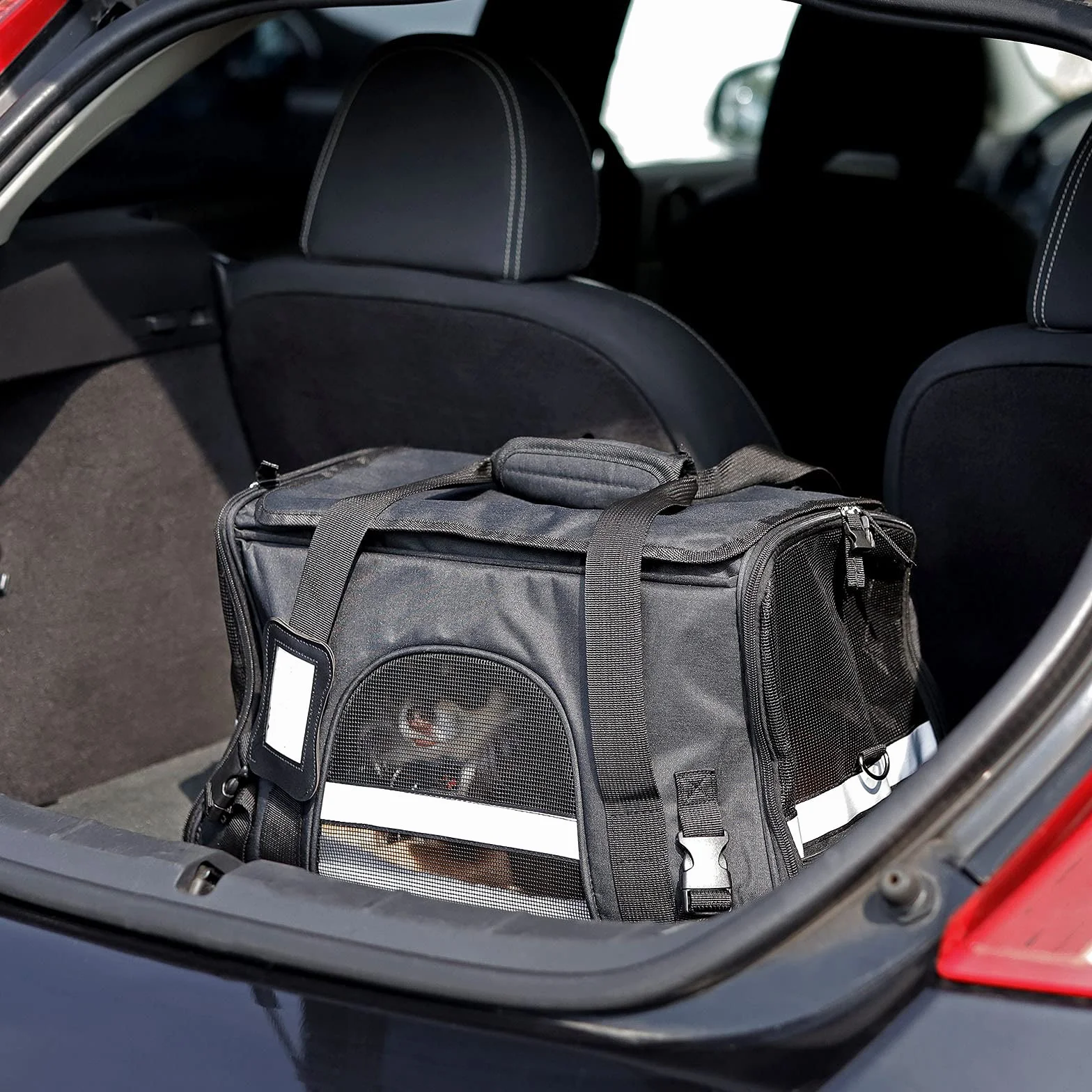 lionto Caisse de Transport Pliable pour Chien avec poignées et bandoulière, 48,5x27x31,5 cm, en Tissu Oxford Robuste et Maille, Caisse pour Chat avec Coussin Doux, idéale pour l’Avion, Noire