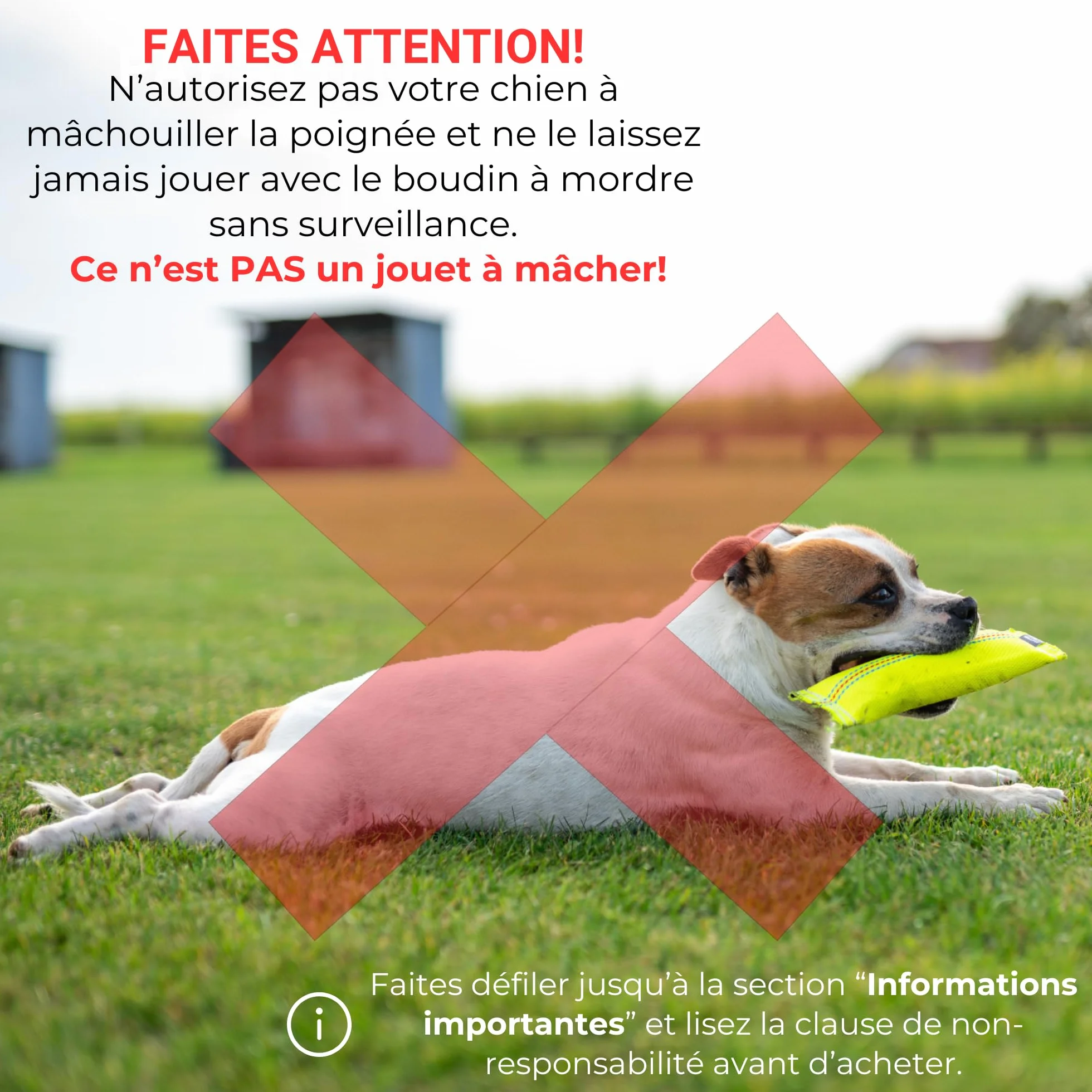 Jouet pour Chien Dummy Flottant Boudin À Mordre 25 cm Tuyaux De Lance À Incendie Robuste Apportable Flottant
