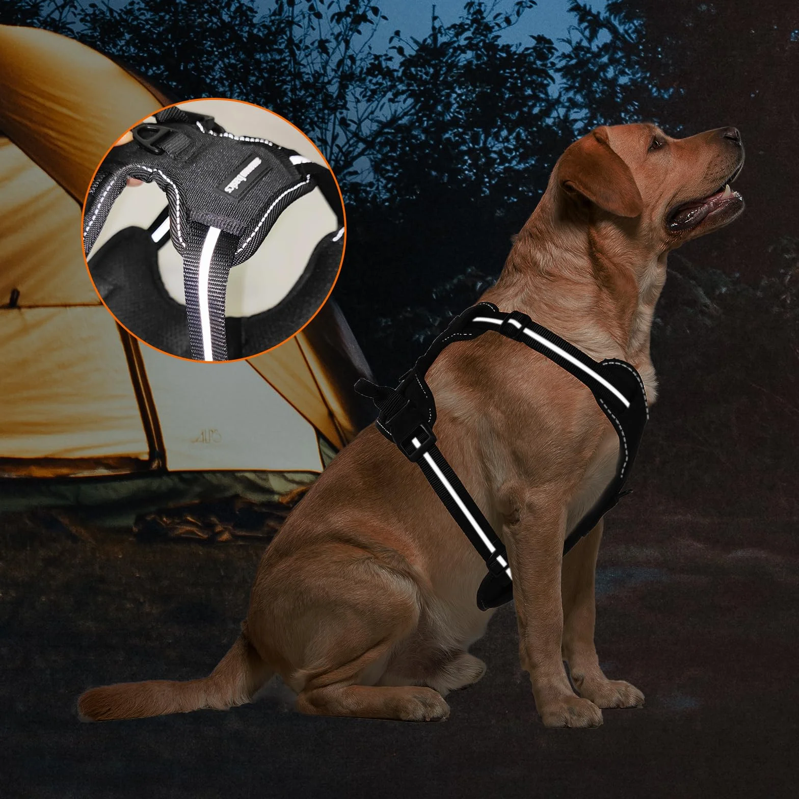 Amazon Basics Harnais pour chien sans traction réglable rembourré bandes réfléchissantes Noir Taille M