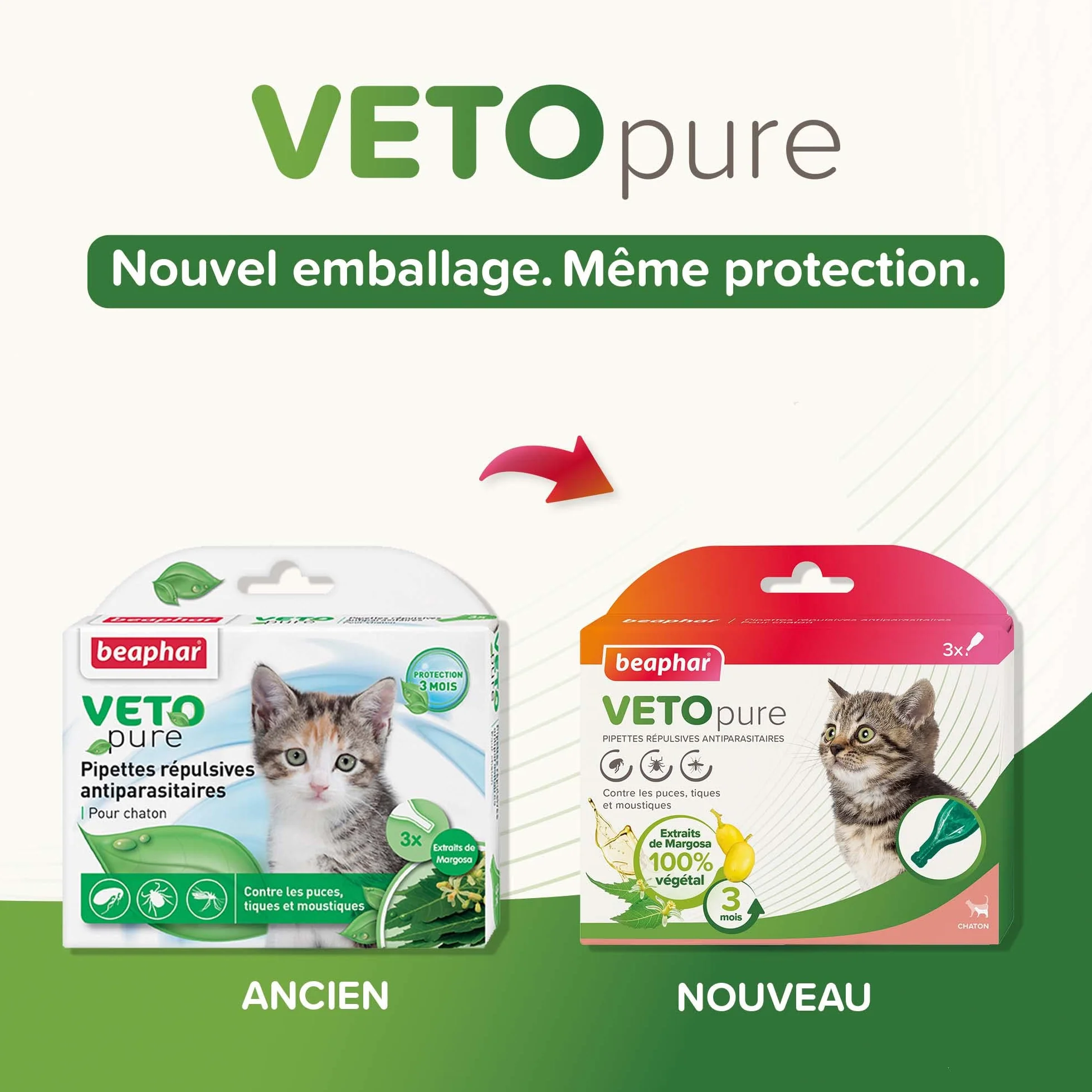 Beaphar VETOPURE Pipettes répulsives antiparasitaires pour Chaton Extraits de Margosa Protection 3 Mois 3 pipettes
