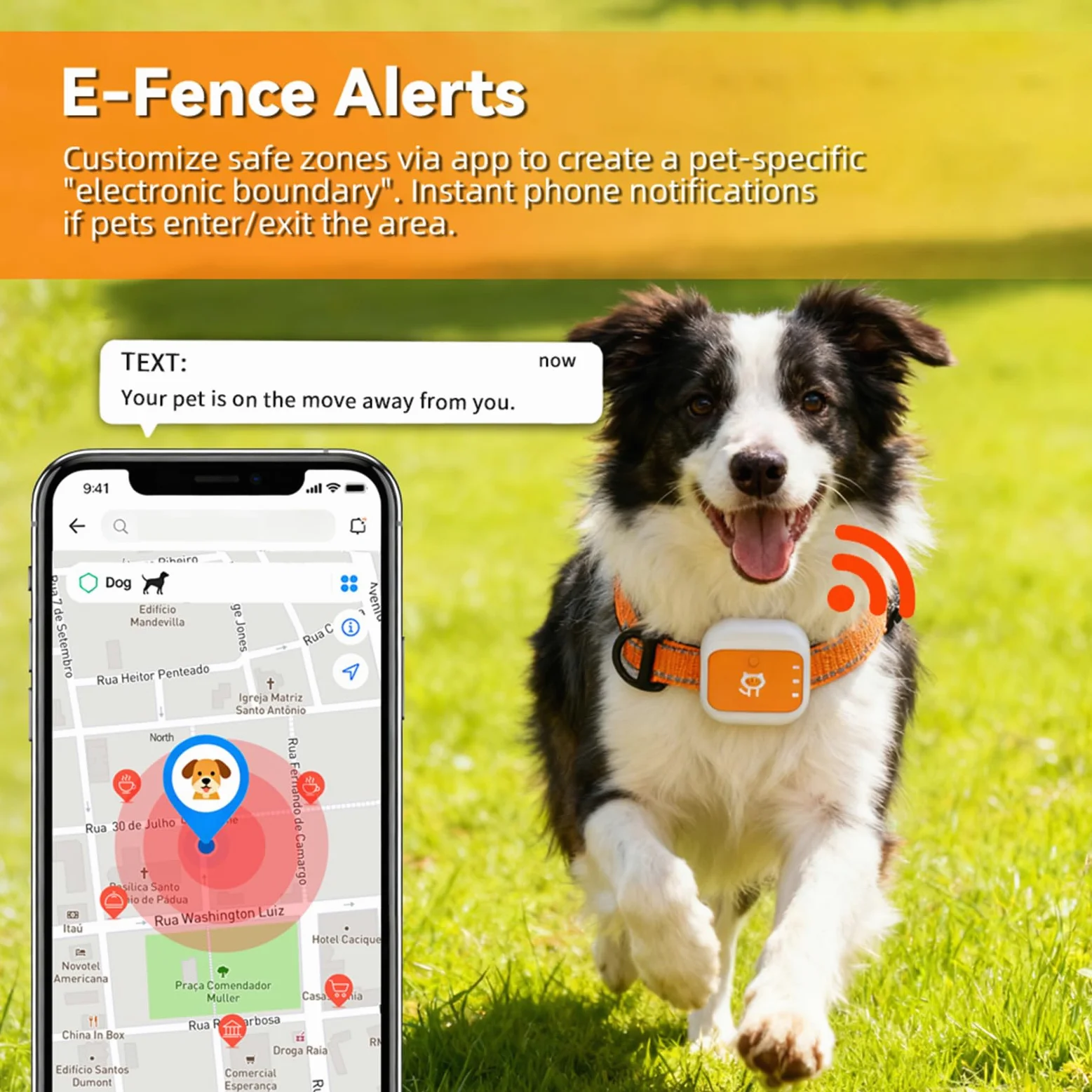 Tangxi Traceur GPS pour Animaux de Compagnie, Localisation en Temps Réel avec Alerte SOS, Clôture électronique étanche, Dispositif de Surveillance Anti-Perte de Collier pour Chien (Version Amérique)