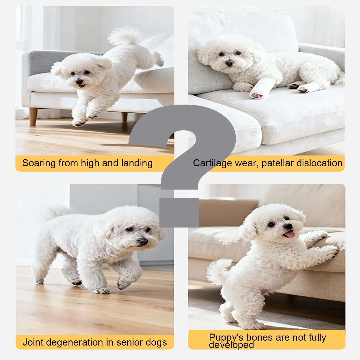 Rampe pour Chien 2 en 1 Antidérapant Pliable pour Lit, Escalier Multifonctionnel Légère pour Intérieur