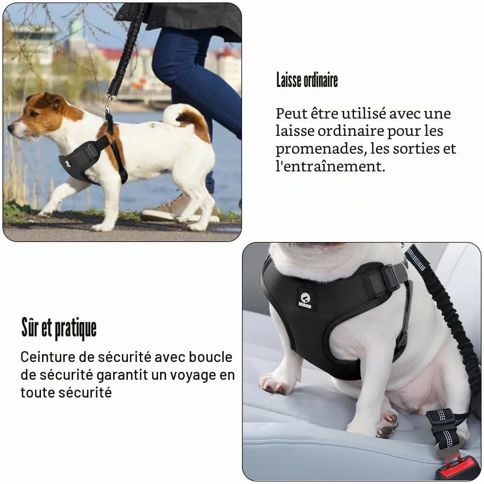 Ensemble de Harnais et Laisse de Sécurité de Voiture, Harnais Voiture Chien en Maille Douce et Respirante, 53 cm-74 cm Ceinture de Sécurité éLastique Réglable à Fixer Sur le Siège de Voiture (Noir, S)