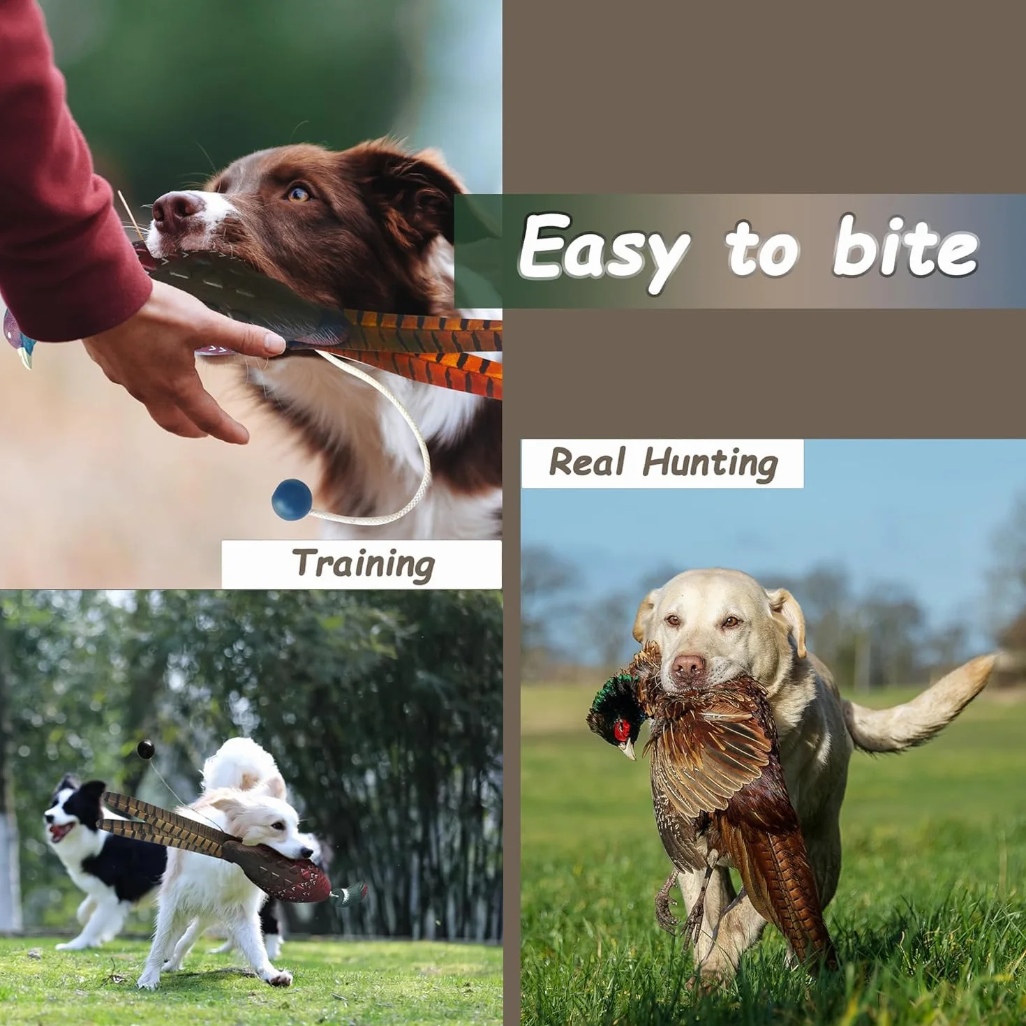 Dummy d'entraînement pour Chien Canard Colvert Chasse Chiots