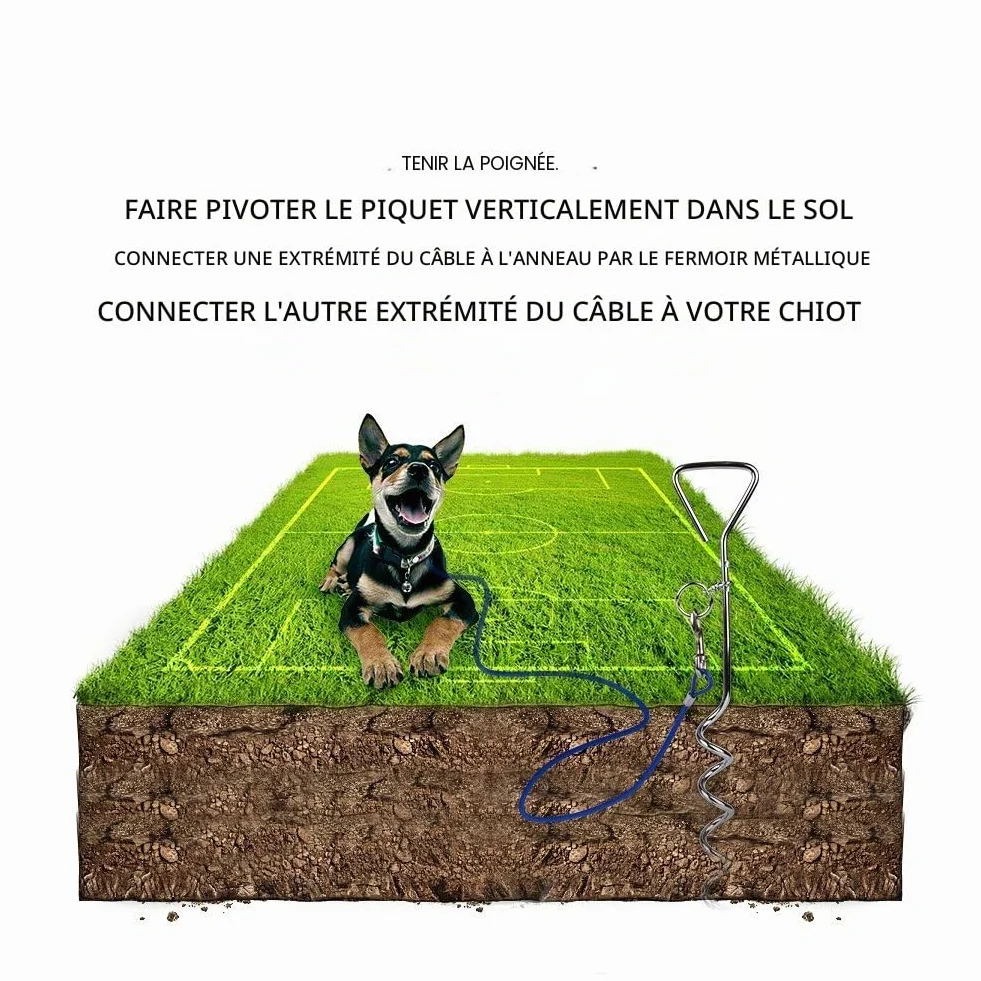 Câble Attache Chien Piquet Acier Inoxydable 3M 5M 10M 360° Laisse Spirale Extérieur Jardin Camping Alliage Zinc Pas Rouille