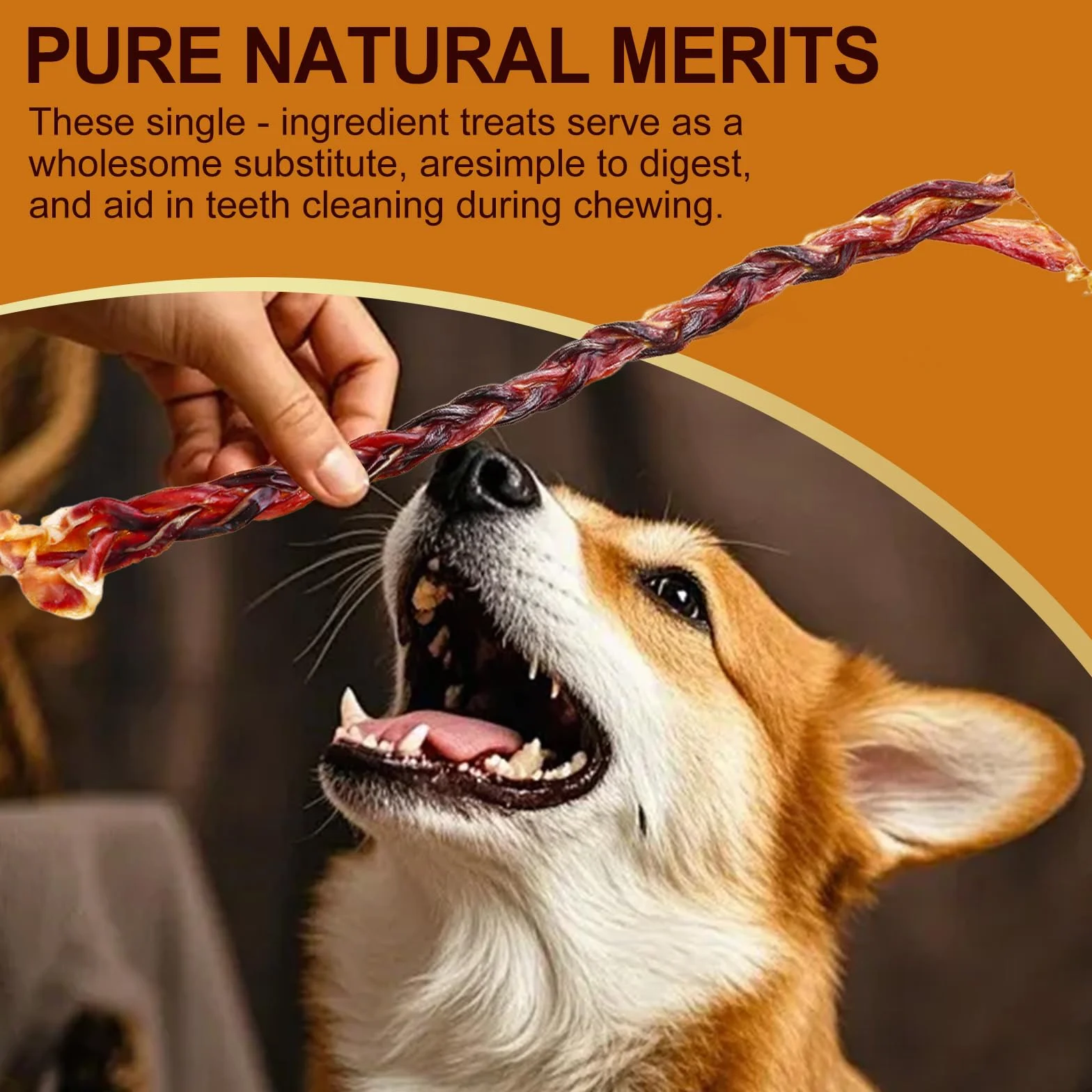 Pork Whip Dog Treats 28cm 60g for Heavy Chewing Dogs