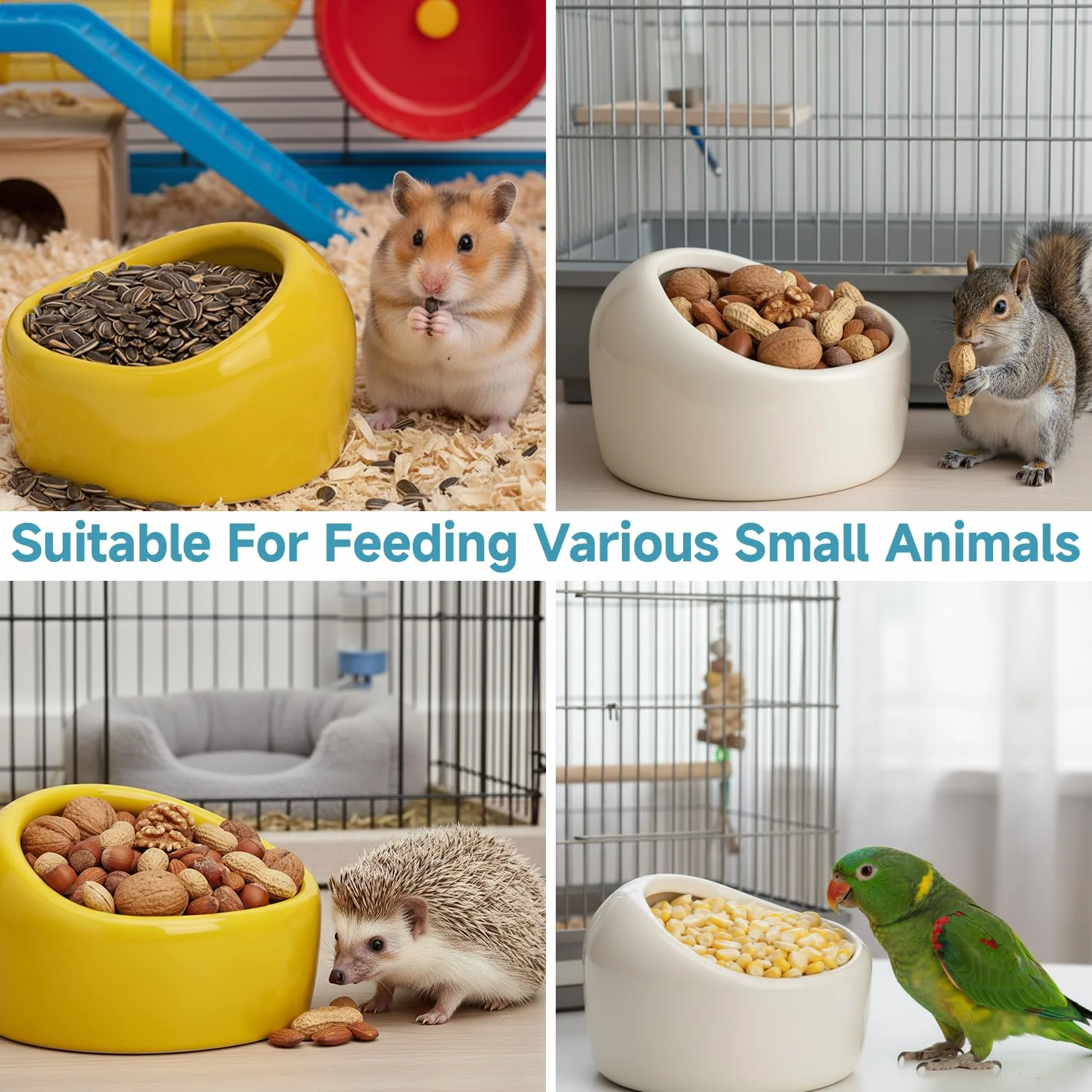 Gamelles Céramique Hamster Anti-Morsures Lot de 3 Syrien Gerbilles Souris Rats