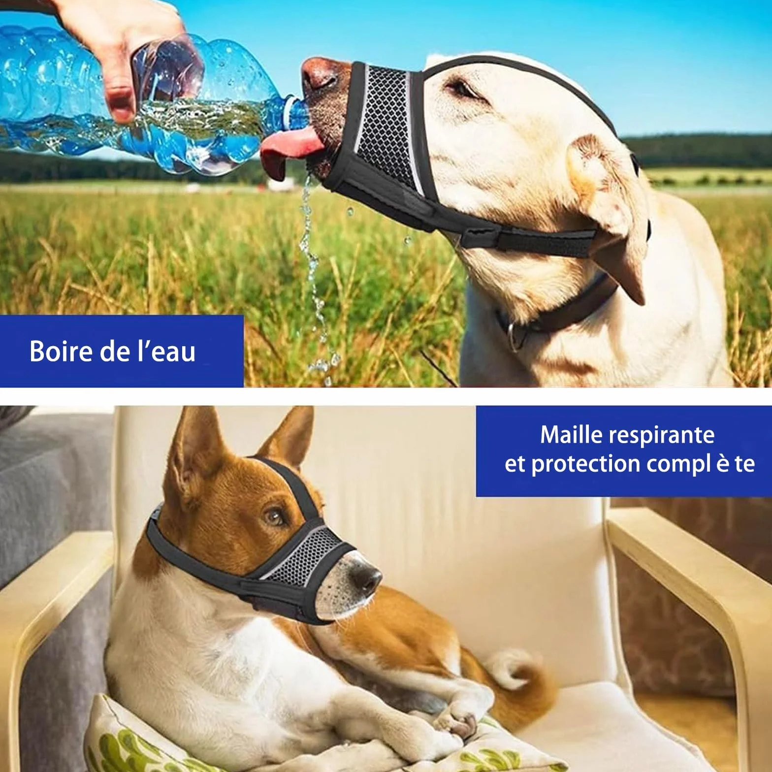 Muselière Chien Réglable en Nylon Reflectif, Soft et Confortable avec Système d'ajustement pour Petits Chiens, Idéale pour Promenades et Entraînement