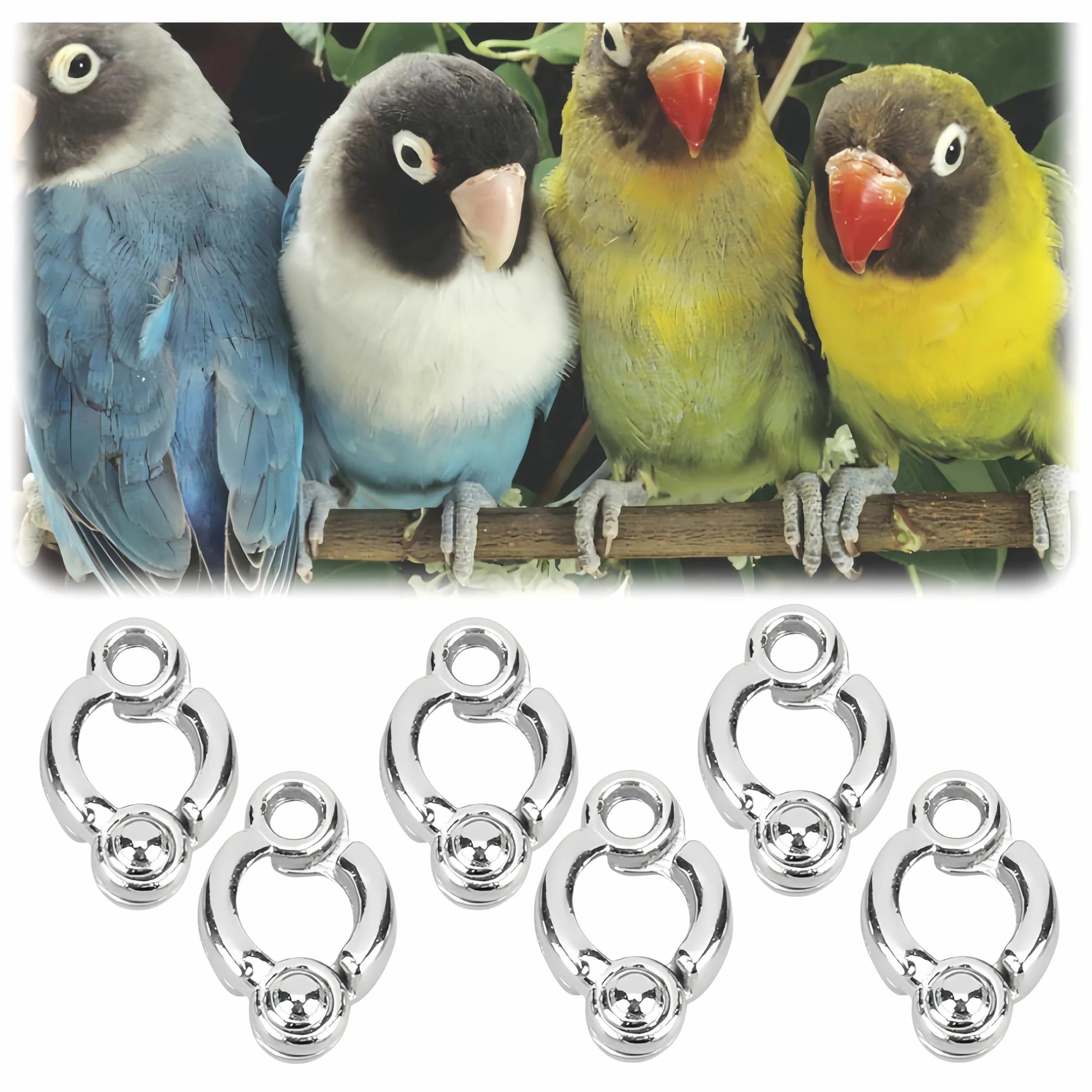 Lot de 6 anneaux pour pattes de perroquet, anneau d'activités de formation pour oiseau