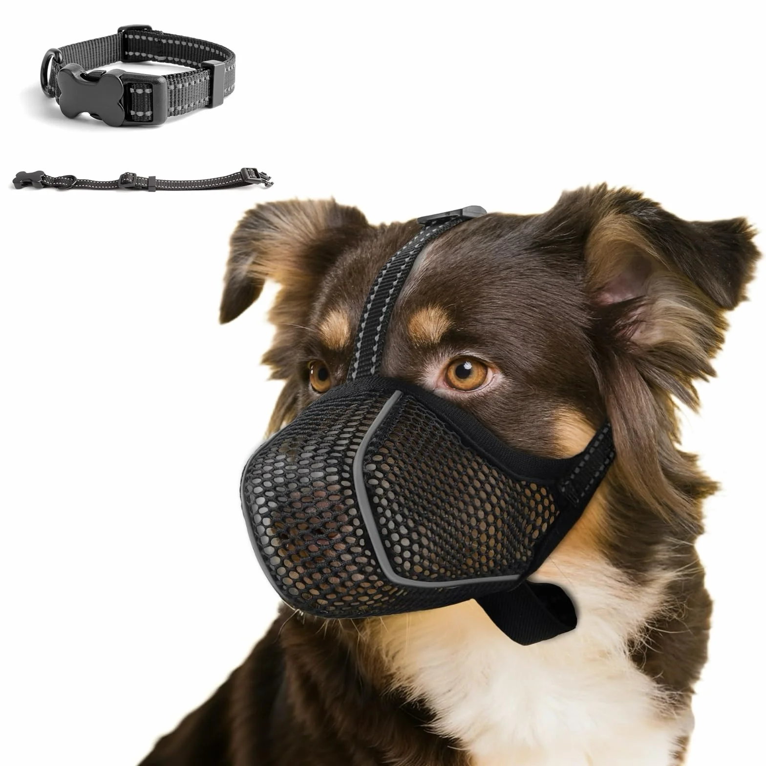 Muselières pour Chiens Anti-Grignotage, Colliers pour Chiens, Muselières Respirantes Réglables pour Animaux de Compagnie,Prévenir l'ingestion Accidentelle,Convient Animaux de Moyenne Taille(M)