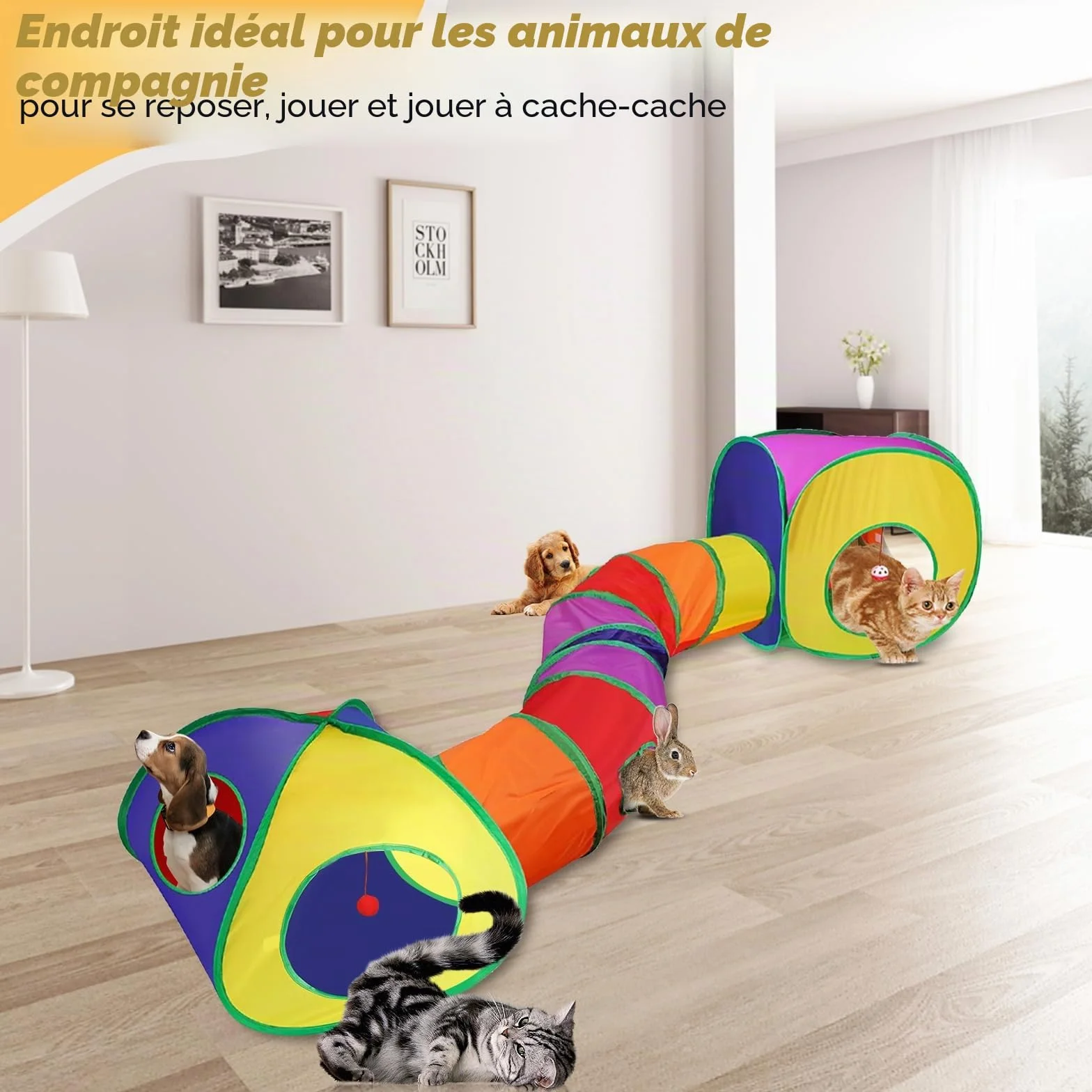Jouet Tunnel Tente pour Chat Interieur Exterieur Jeu Tunelle pour Chat Interactif 3 en 1 Jouets pour Chats Jeux pour Chaton Tunelle Cat Toy Tunnel Pliable Cadeau pour Chien Lapin Chats Cobaye