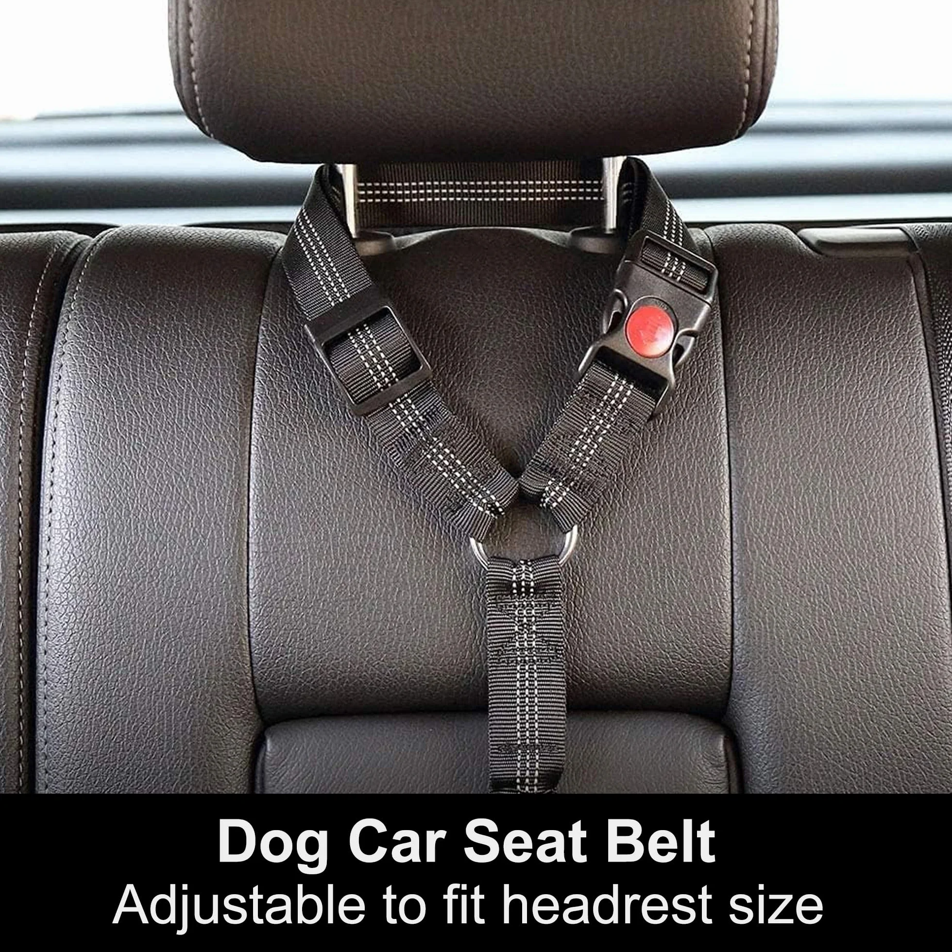 Ceinture de sécurité de voiture pour chien – Harnais de voiture réglable pour animal domestique, retenue rembourrée pour chien, laisse élastique en nylon durable (noir)