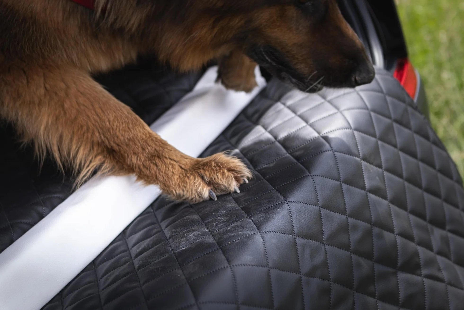 Velinda lit de Coffre, Transporteur de Voiture pour Le Chien avec Matelas de 90x55 cm (Couleur: Noir)