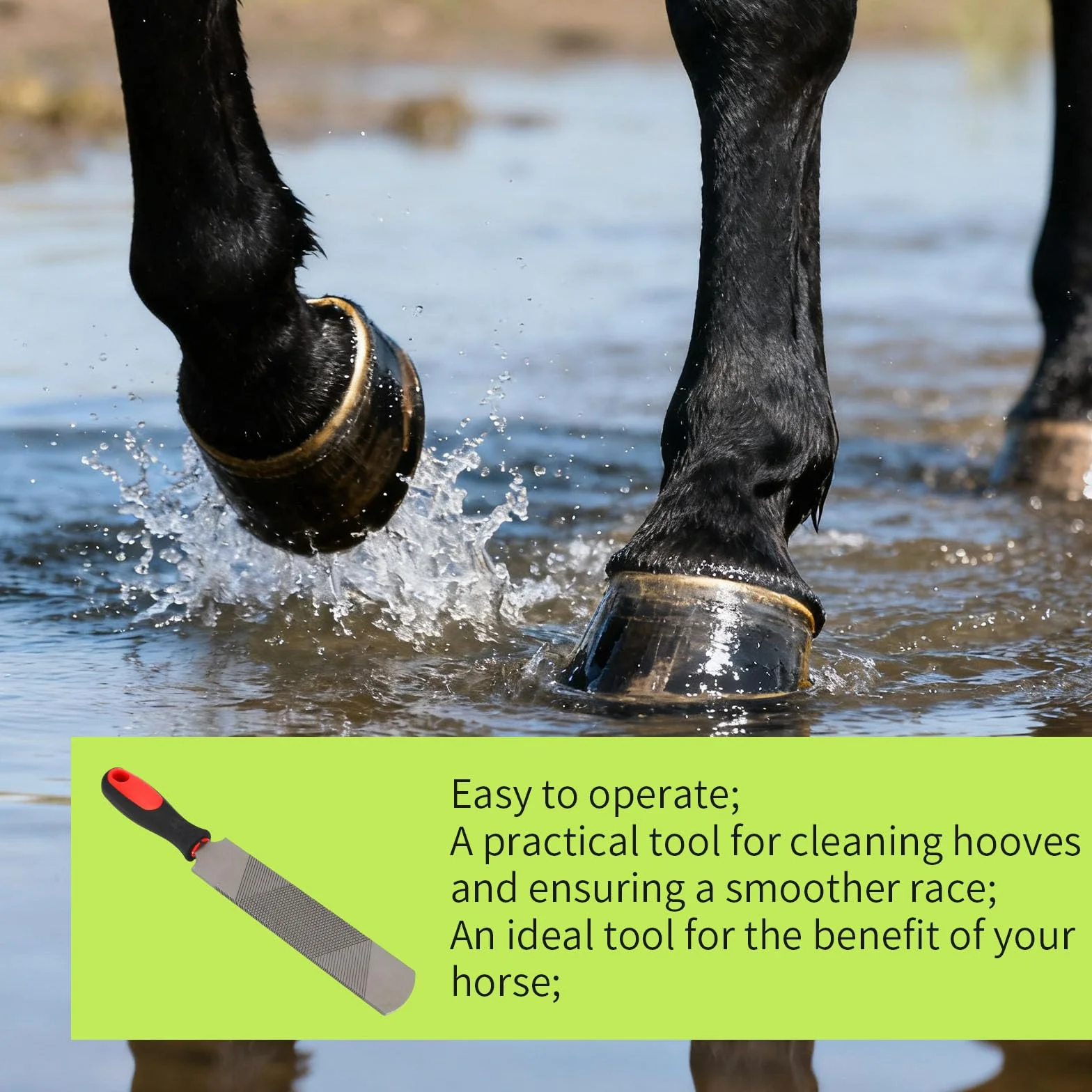 Râpe Sabot pour Chevaux, 33,5cm Acier Râpe Pied Cheval Dents Double Face Rugueuses ou Fines Outil de Maréchal-Ferrant pour Chevaux Ânes Vaches Chèvres Sabots Parage Lissage et Toilettage