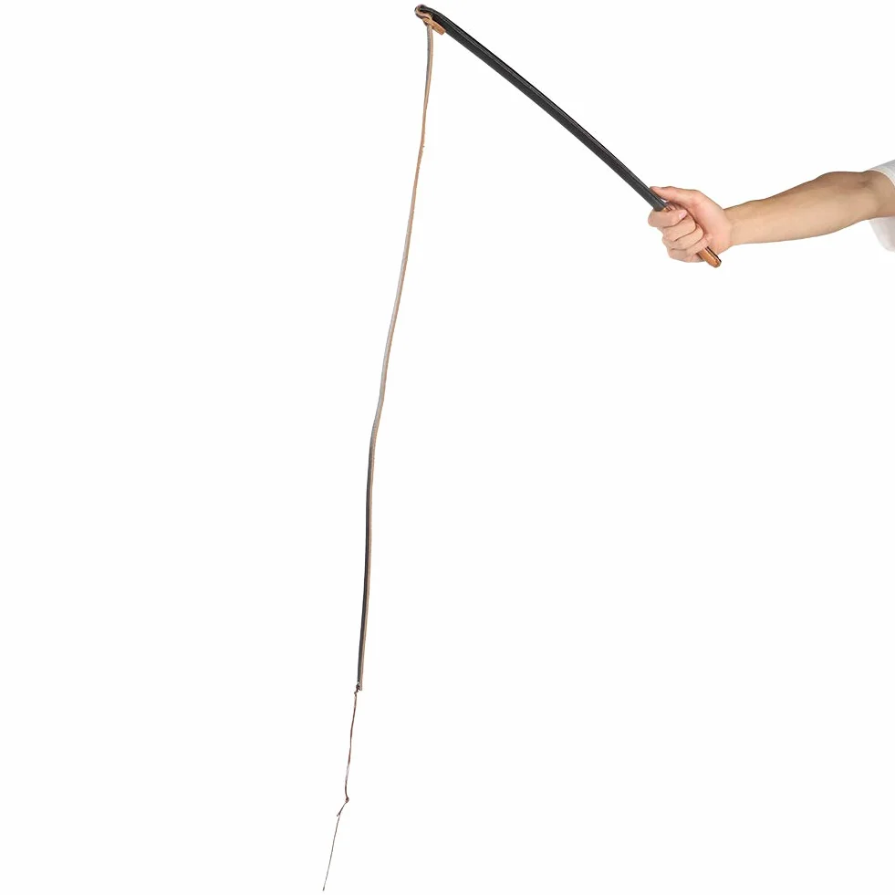 Flirt Pole pour Chiens de Grande Taille, Outils de Dressage