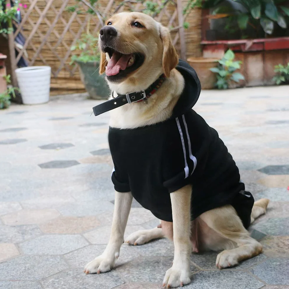 Sweat à Capuche Chaud Coton pour Chien, Noir, 3XL
