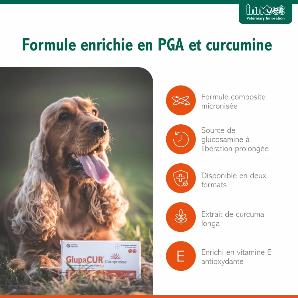 Innovet Glupacur Complément Alimentaire Articulations Chiens Chats Arthrose Mobilité Palmitoylglucosamine Curcumine Vitamine E 30 gélules