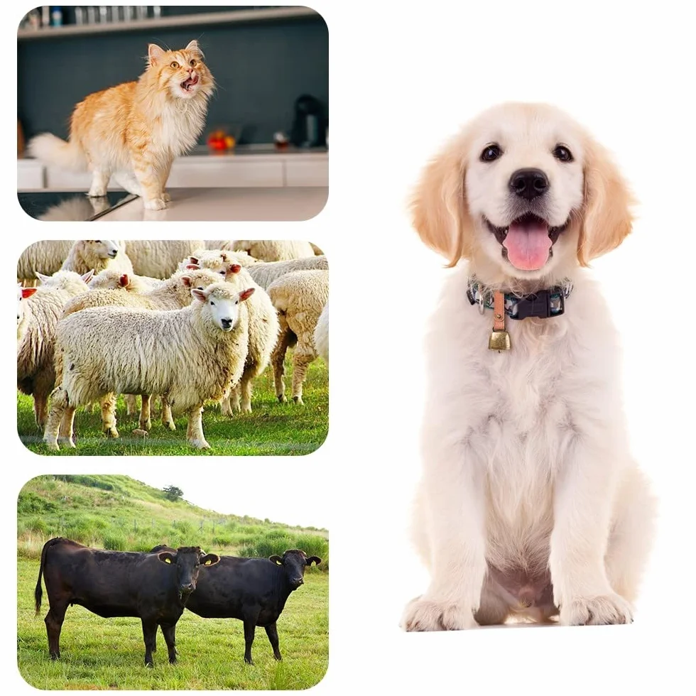 Clochettes de collier pour chien et chat en métal cuivre avec sangle cuir DONGKER
