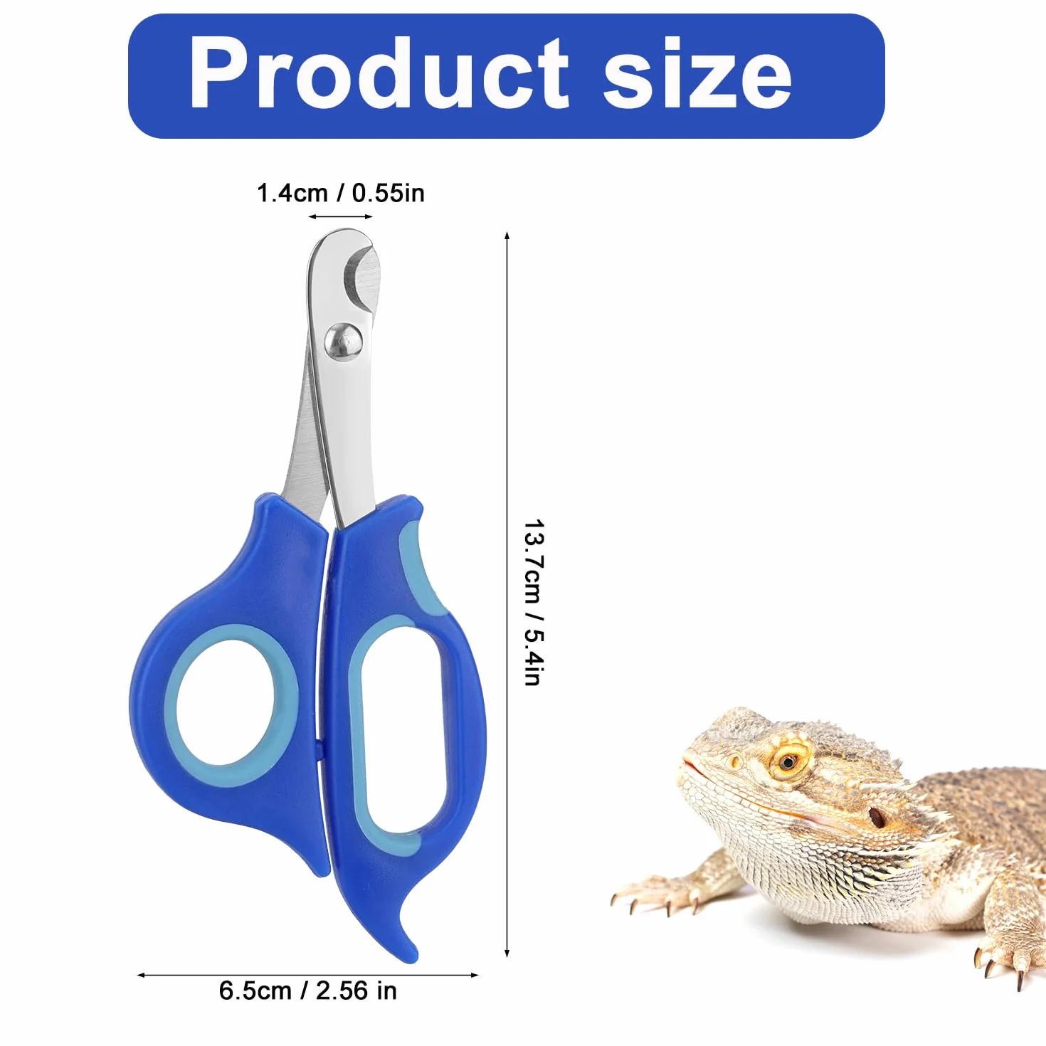 Coupe-Ongles pour Dragon Barbu en Acier Inoxydable Professionnel Reptiles