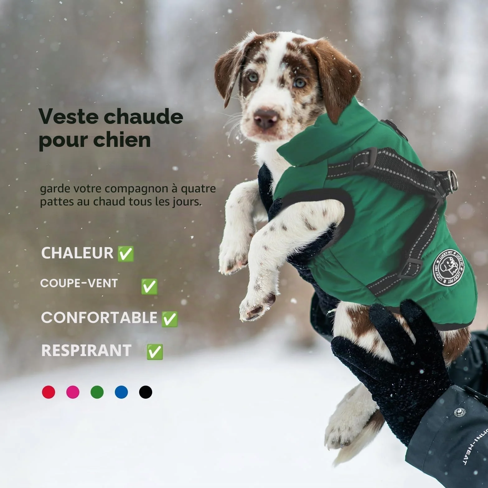 Manteau Chien imperméable Hiver avec Harnais
