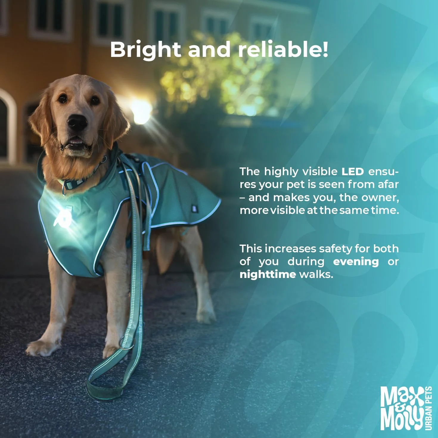 Max & Molly Matrix 2.0 Ultra LED, Lampe LED pour harnais, laisse et collier de chien, Noir, Étanche, Rechargeable par USB, Attache lumineuse pour chien pour plus de sécurité