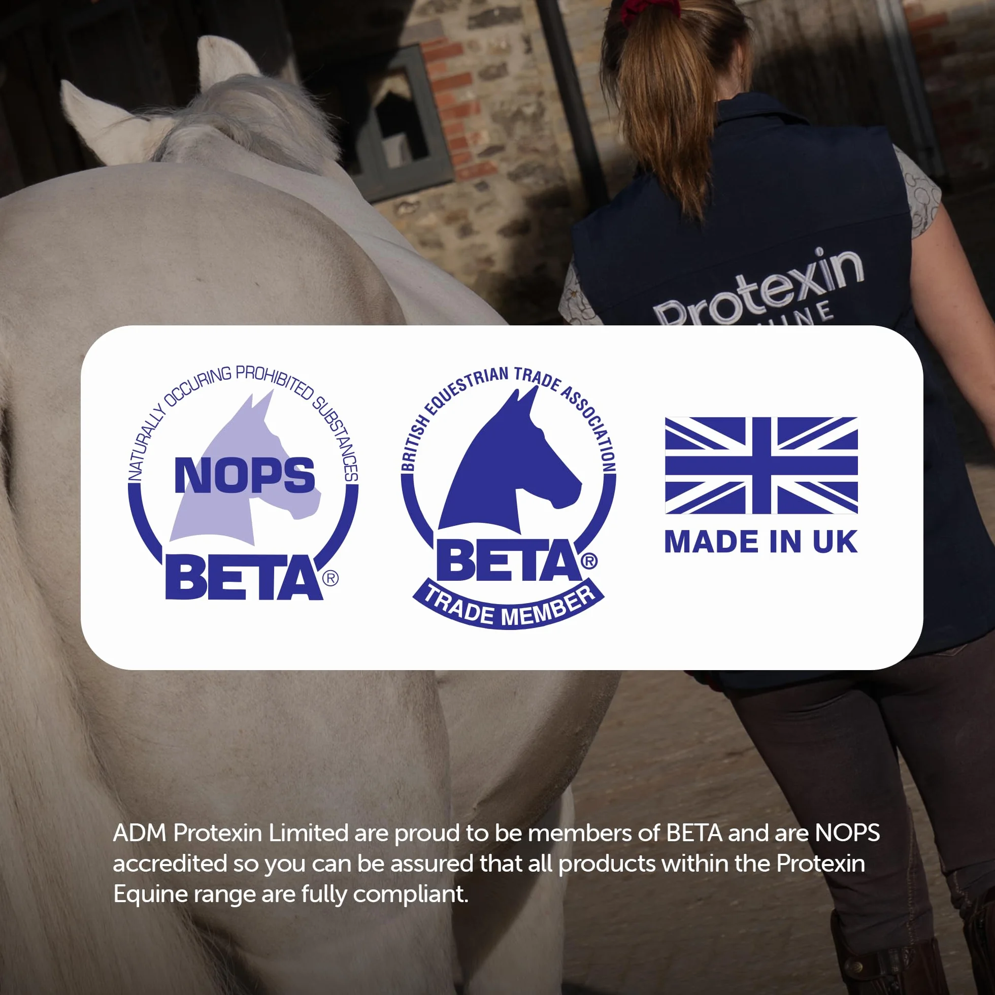 Protexin Equine Premium Gut Balancer 700g