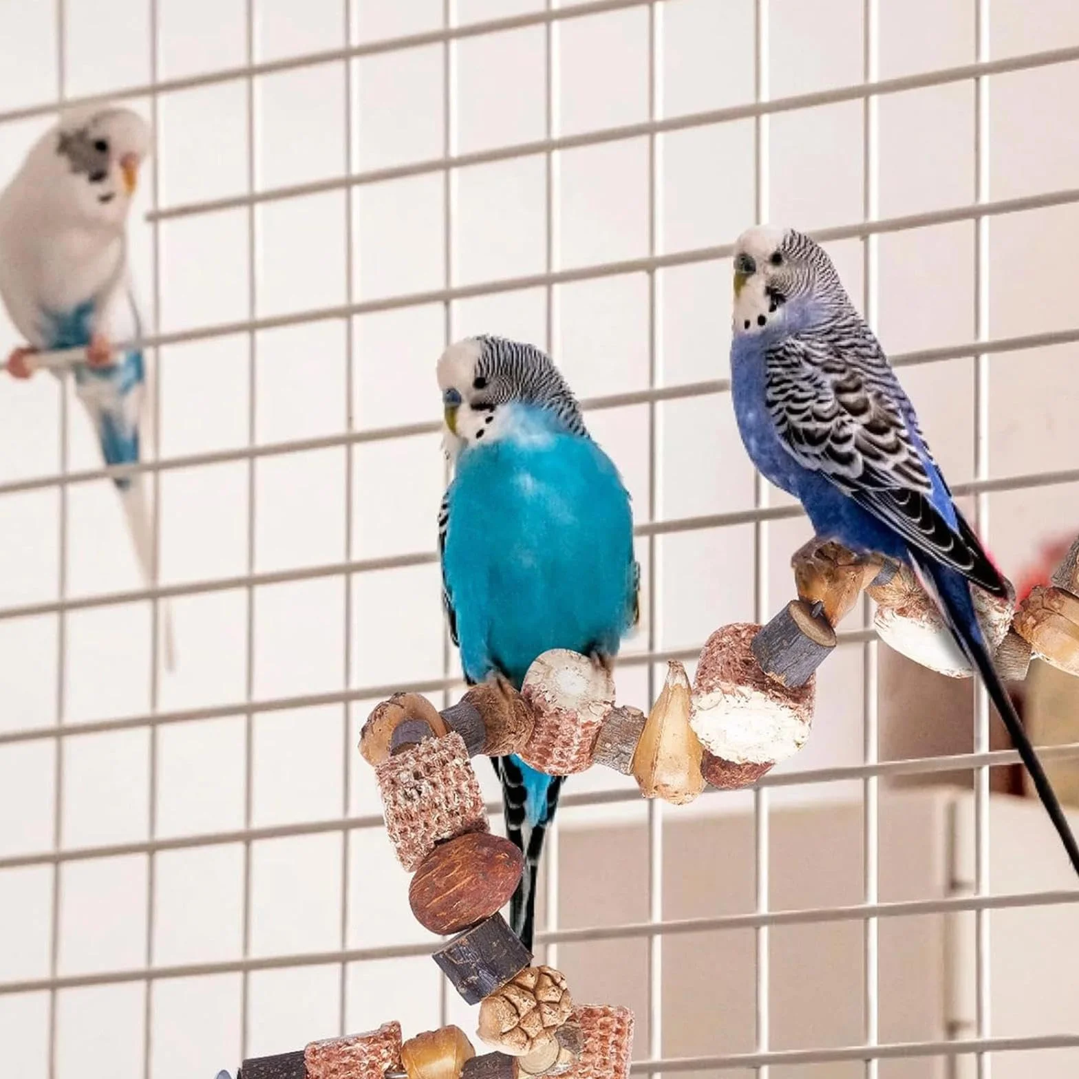 Perchoir Perroquet Jouet 50 cm Oiseaux Jouets à Mâcher Suspendre Perruches Inséparables Pinsons
