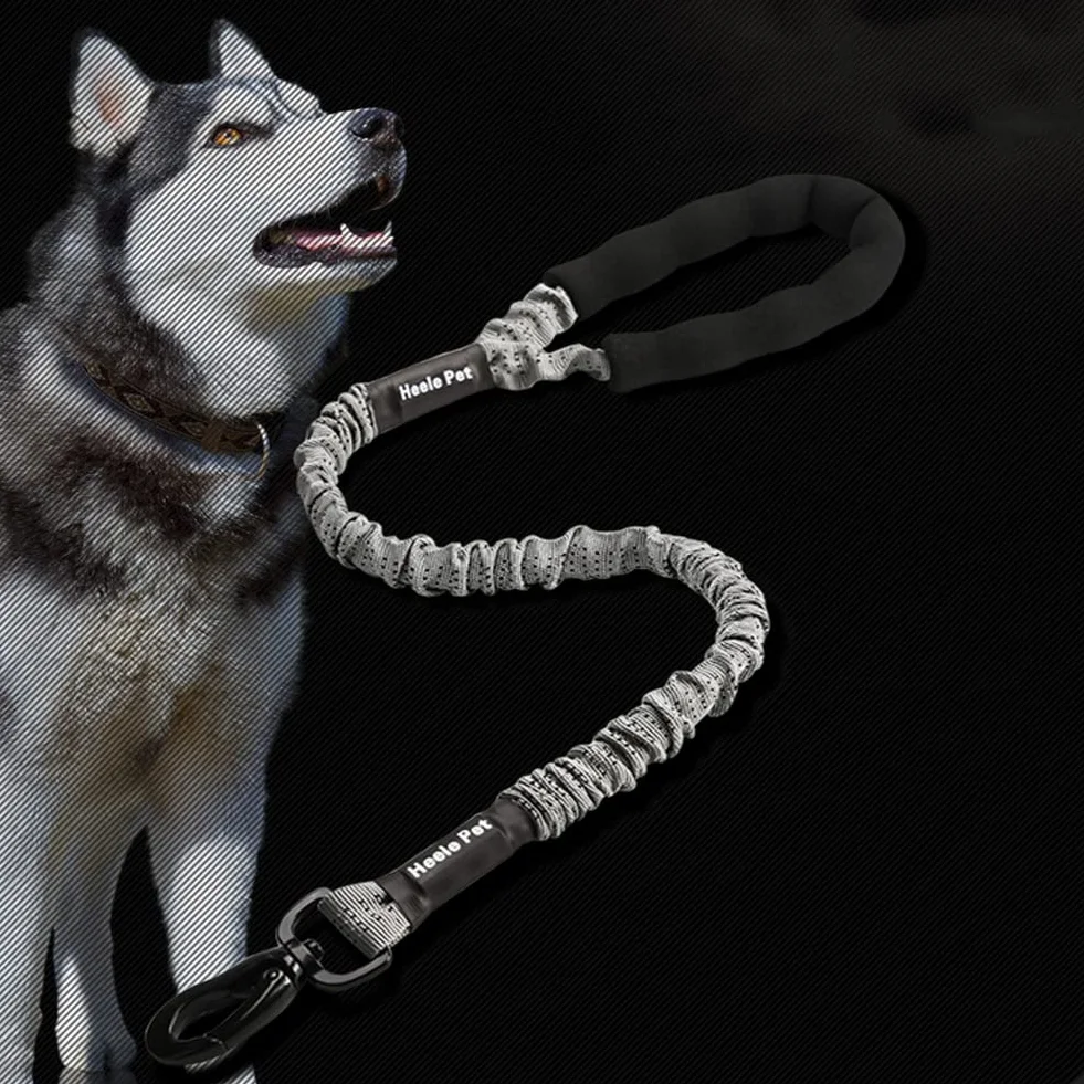 Laisse Chien Élastique Nylon Anti Traction Grande Taille avec Poignée Rembourrée