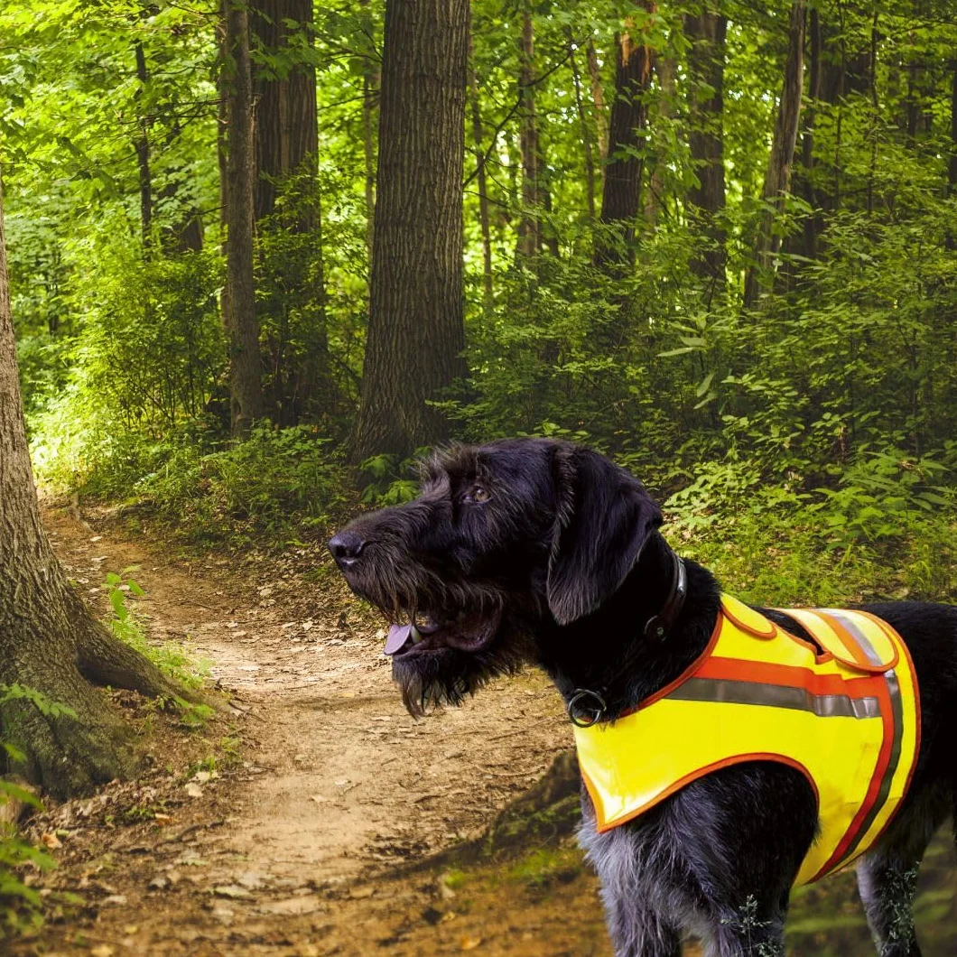 Gilet de sécurité réfléchissant pour chien jaune orange bandes réfléchissantes XL