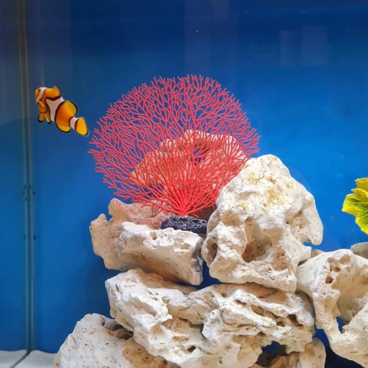 Tissting Plante Artificielle Aquarium Décoration Aquatique Réaliste PVC 5 Anémones Paysage Marin