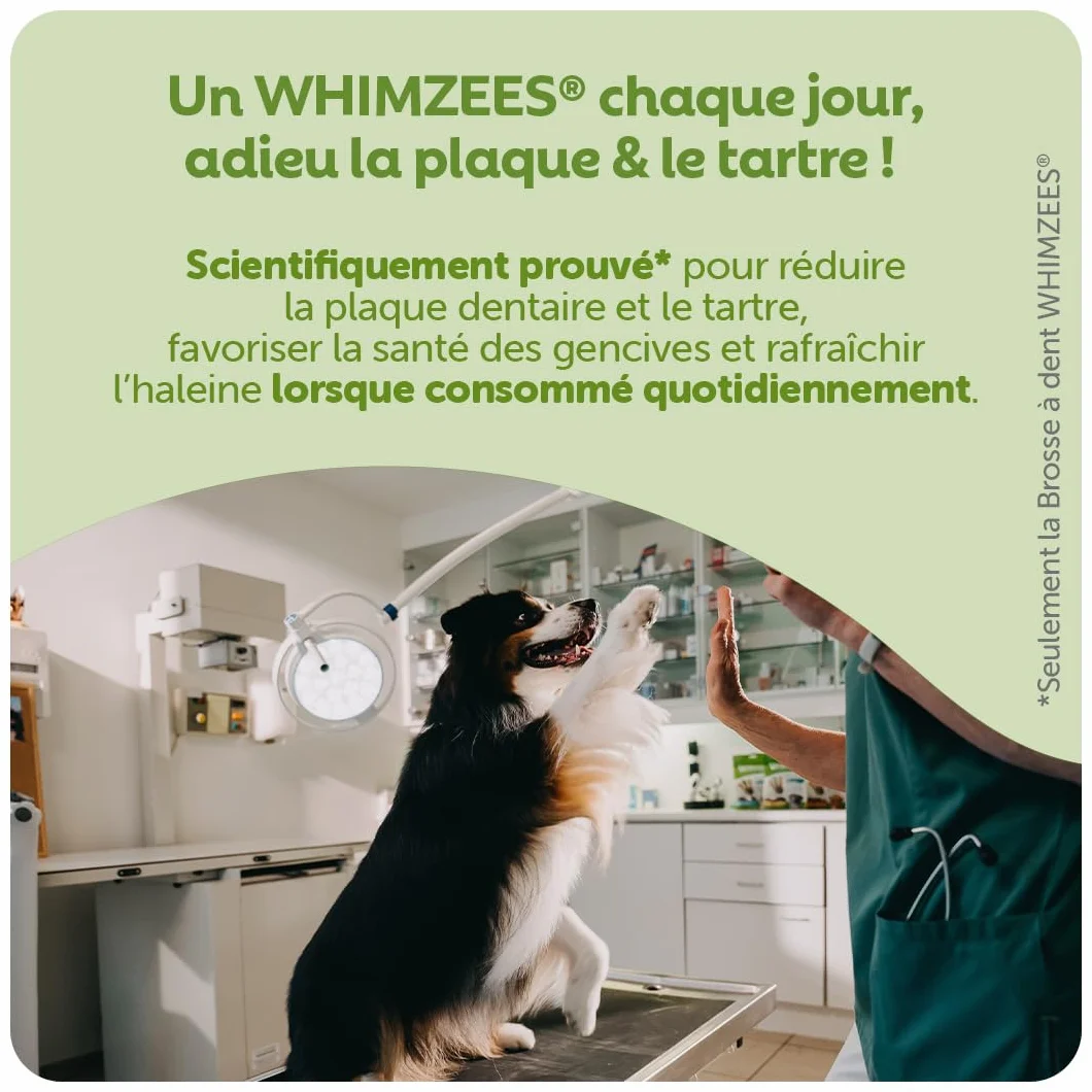 WHIMZEES Hérisson L, 6 Pièces – Friandises Naturelles pour Grands Chiens