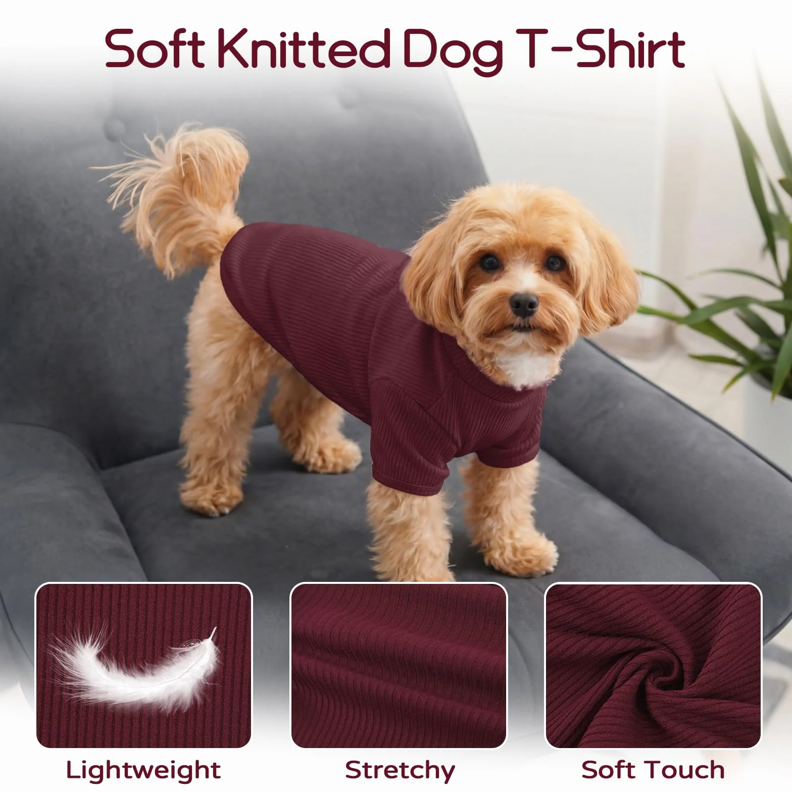 Pull en tricot pour chien L - T-shirt léger pour animal de compagnie Beagle Schnauzer miniature Border Terrier