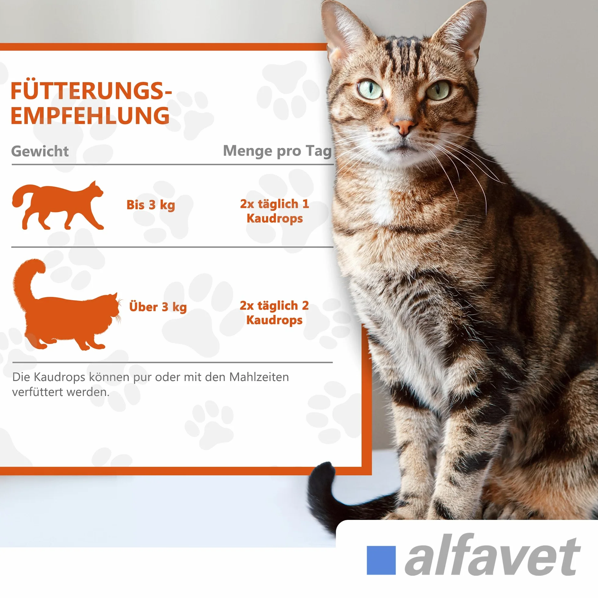 Alfavet FeliGum Dia complément alimentaire diarrhée chats pastilles à mâcher 40 g