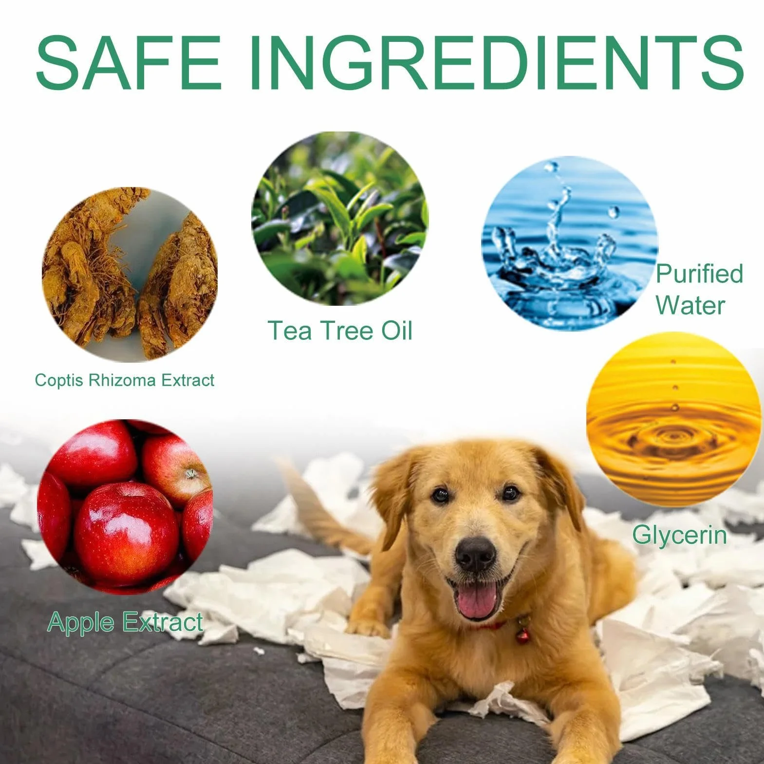 Spray anti-mastication amer pour chien, naturel et efficace contre le léchage et mâchage des meubles