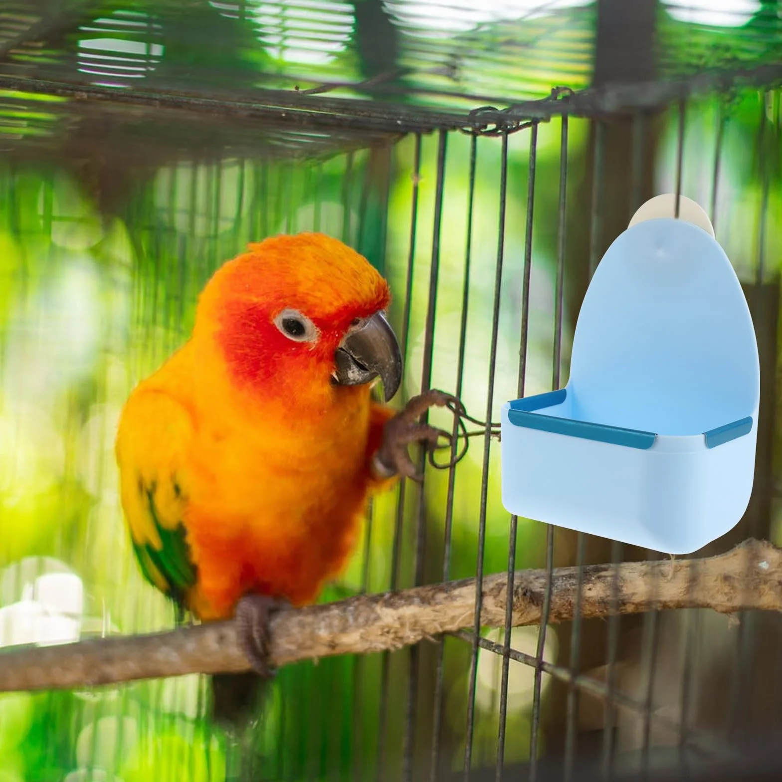 Gamelle Suspendue pour Petits Animaux Bol Alimentaire Anti-Renversement en Plastique Bleu Compatible Lapins Cochons D’Inde et Hamsters