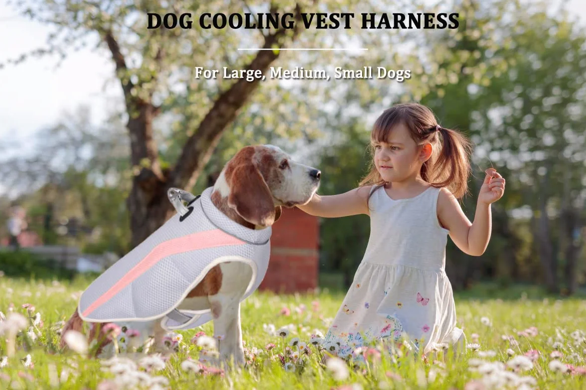 Harnais Gilet Rafraîchissant pour Chien Veste Rafraîchissante en Maille Respirante Ajustable avec Bande Réfléchissante