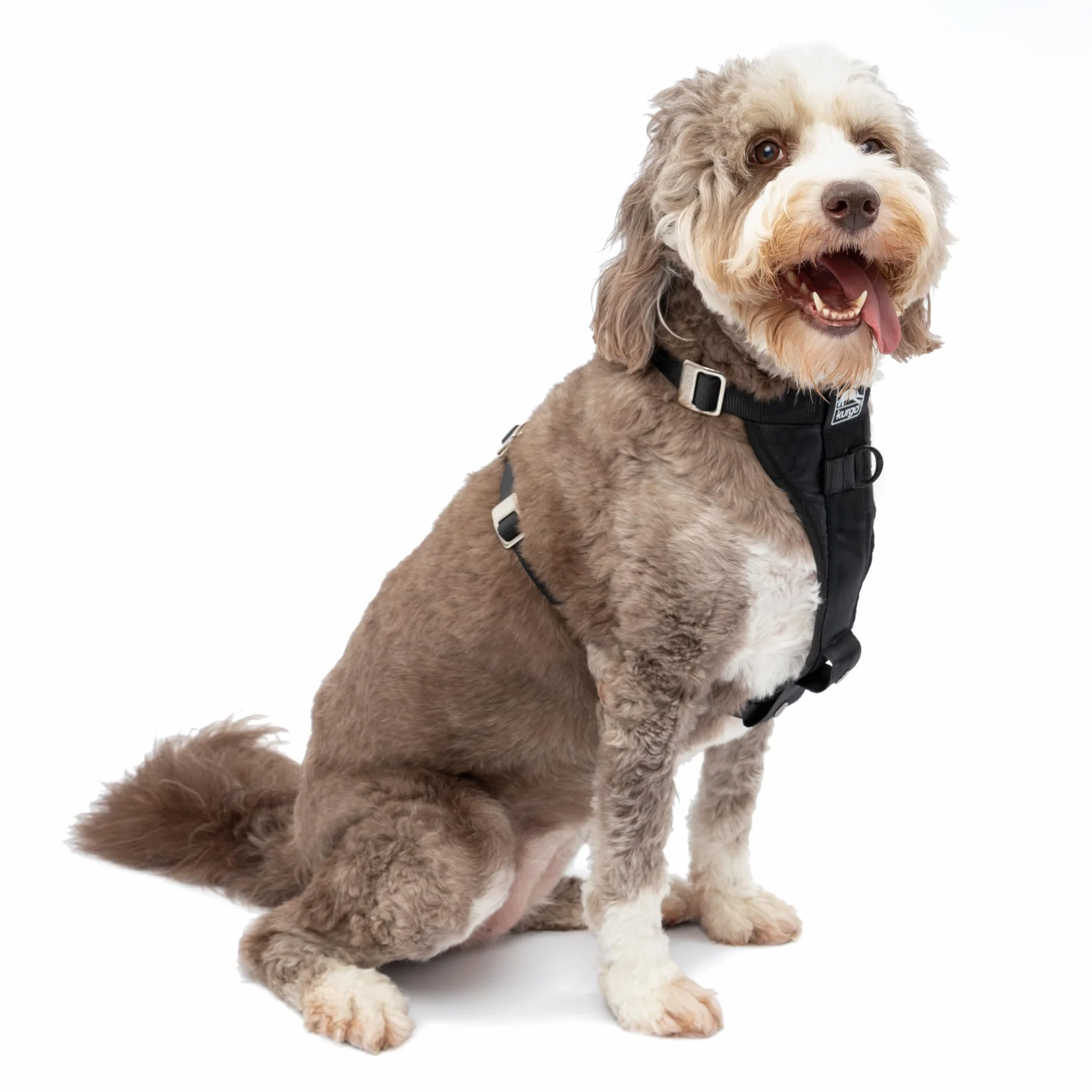 Kurgo Harnais pour Chien Tru-Fit, Accessoire Chien pour la Promenade, Clip Avant pour entraîner Son Chien à ne Pas Tirer & Ceinture de sécurité pour Voiture, Noir, L