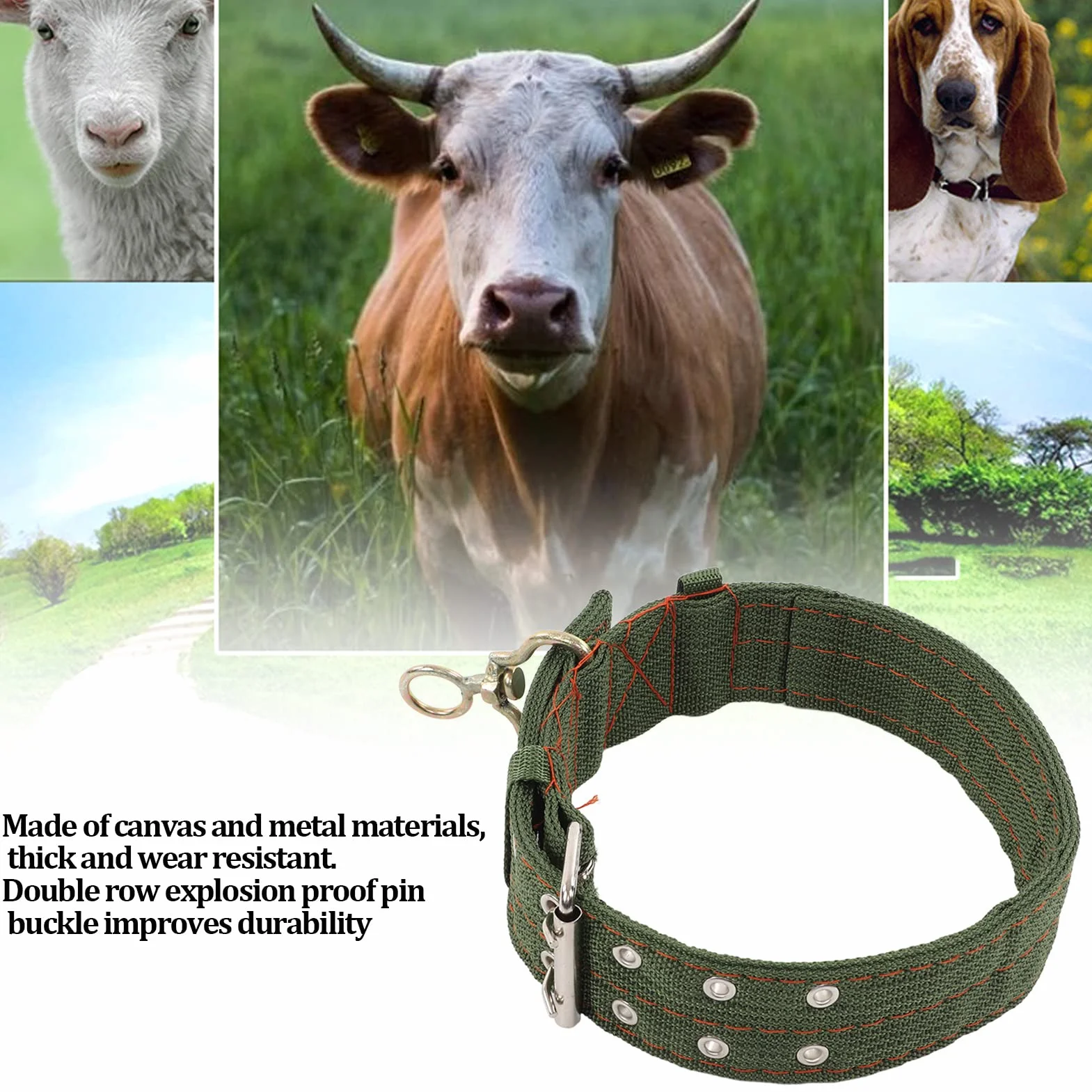 Collier de Mouton épaissi pour Animaux de Ferme, Collier pour Chèvre Vache Chien